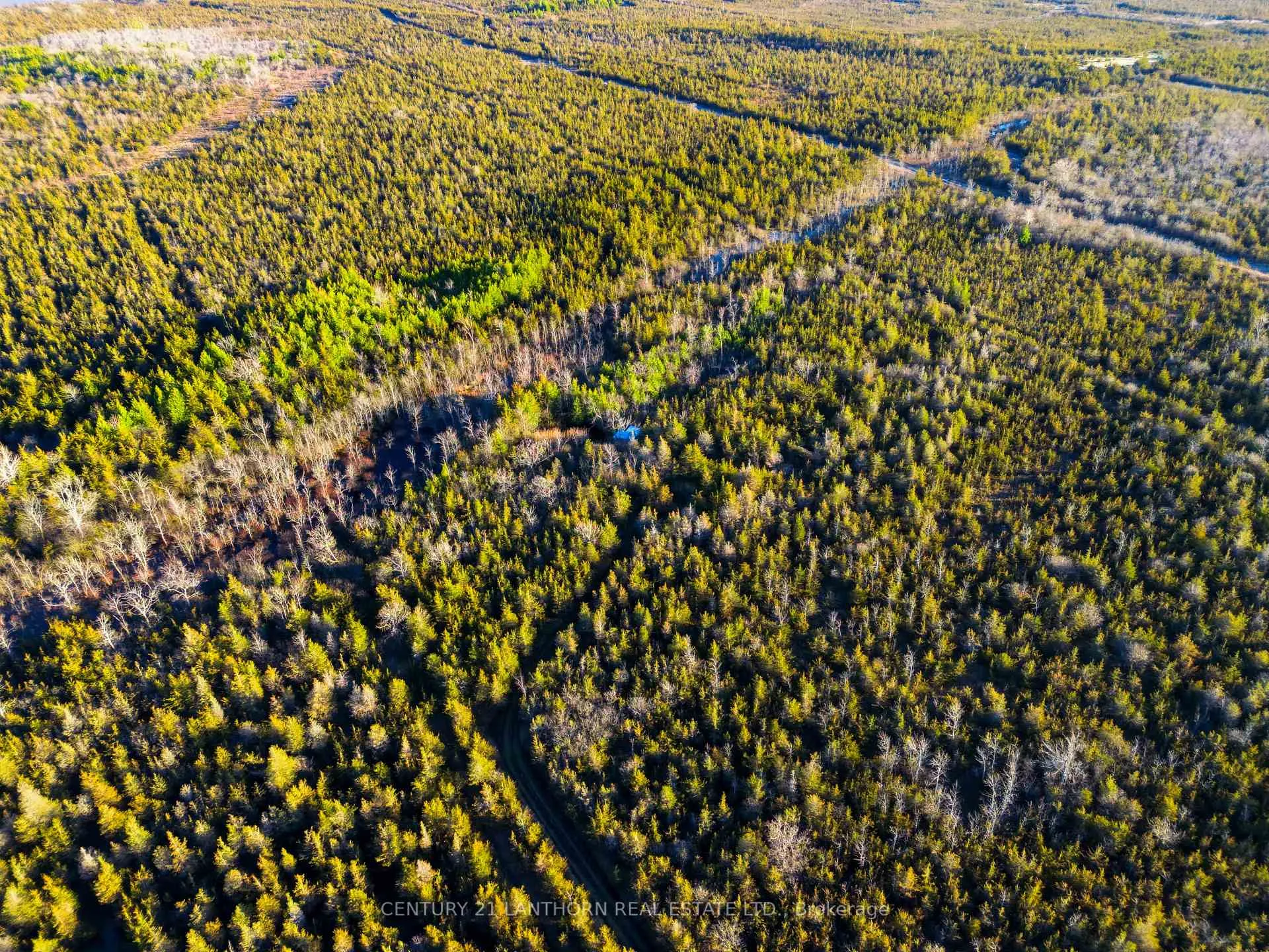 Photo 13 of Hill Top Road, Prince Edward County, South Marysburg Ward — HOMEH