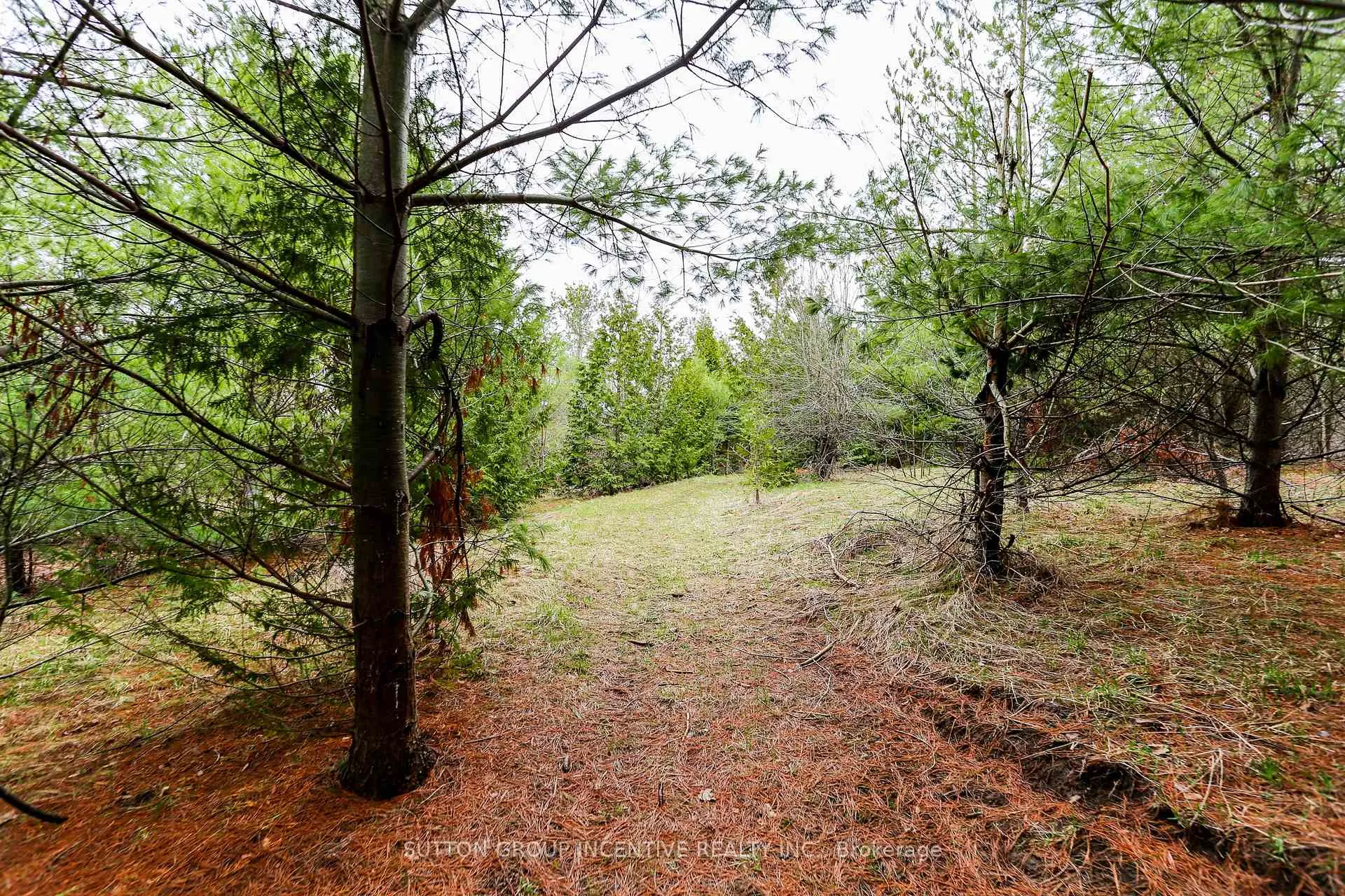 Photo 7 of 2774 Old Second Road, Springwater, Midhurst — HOMEH
