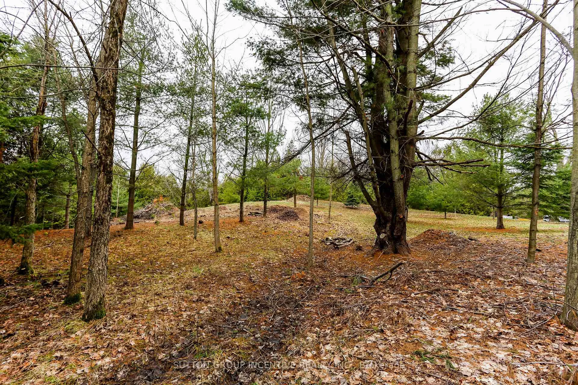 Photo 9 of 2774 Old Second Road, Springwater, Midhurst — HOMEH