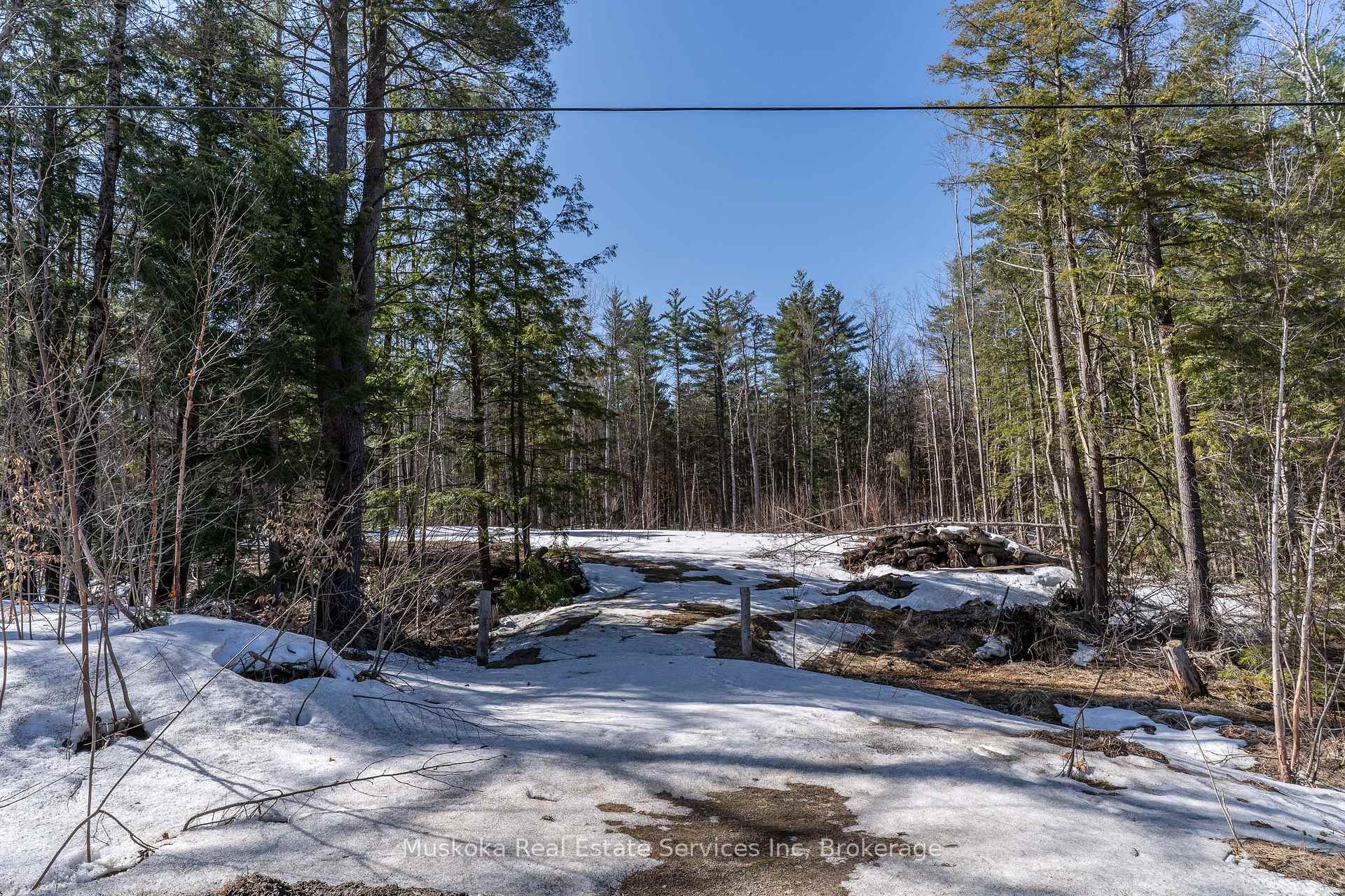 Photo 5 of 1023 Sparrow Lake Route, Gravenhurst, Morrison — HOMEH