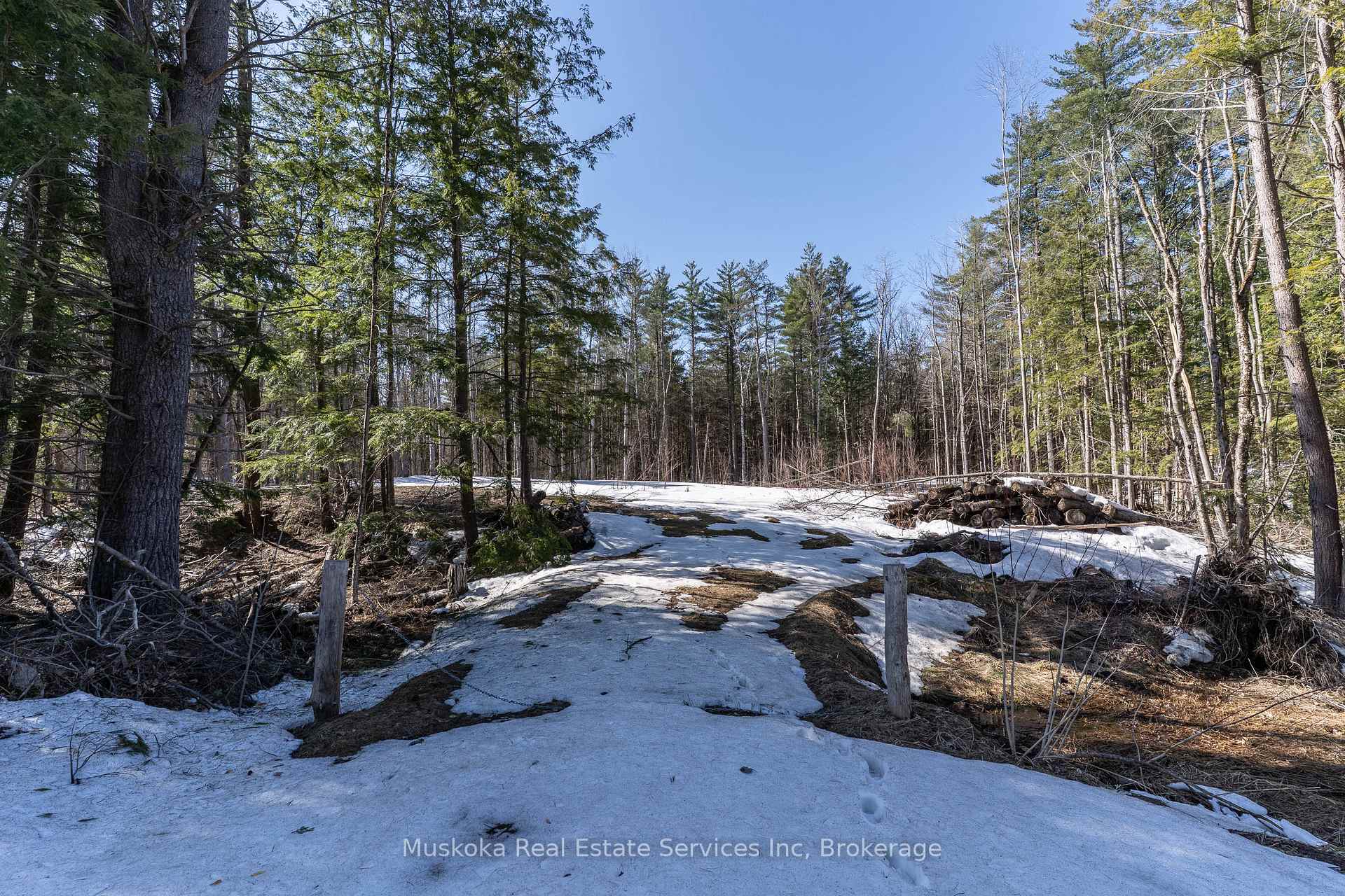 Photo 6 of 1023 Sparrow Lake Route, Gravenhurst, Morrison — HOMEH