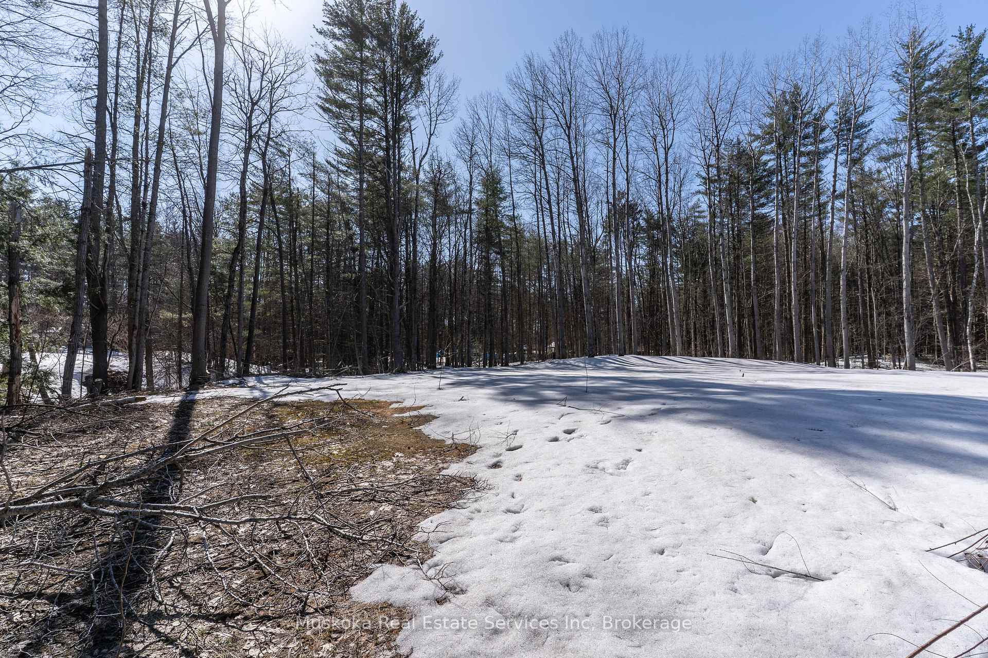Photo 7 of 1023 Sparrow Lake Route, Gravenhurst, Morrison — HOMEH