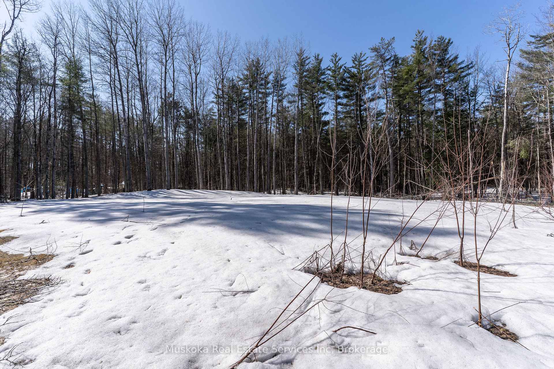 Photo 8 of 1023 Sparrow Lake Route, Gravenhurst, Morrison — HOMEH