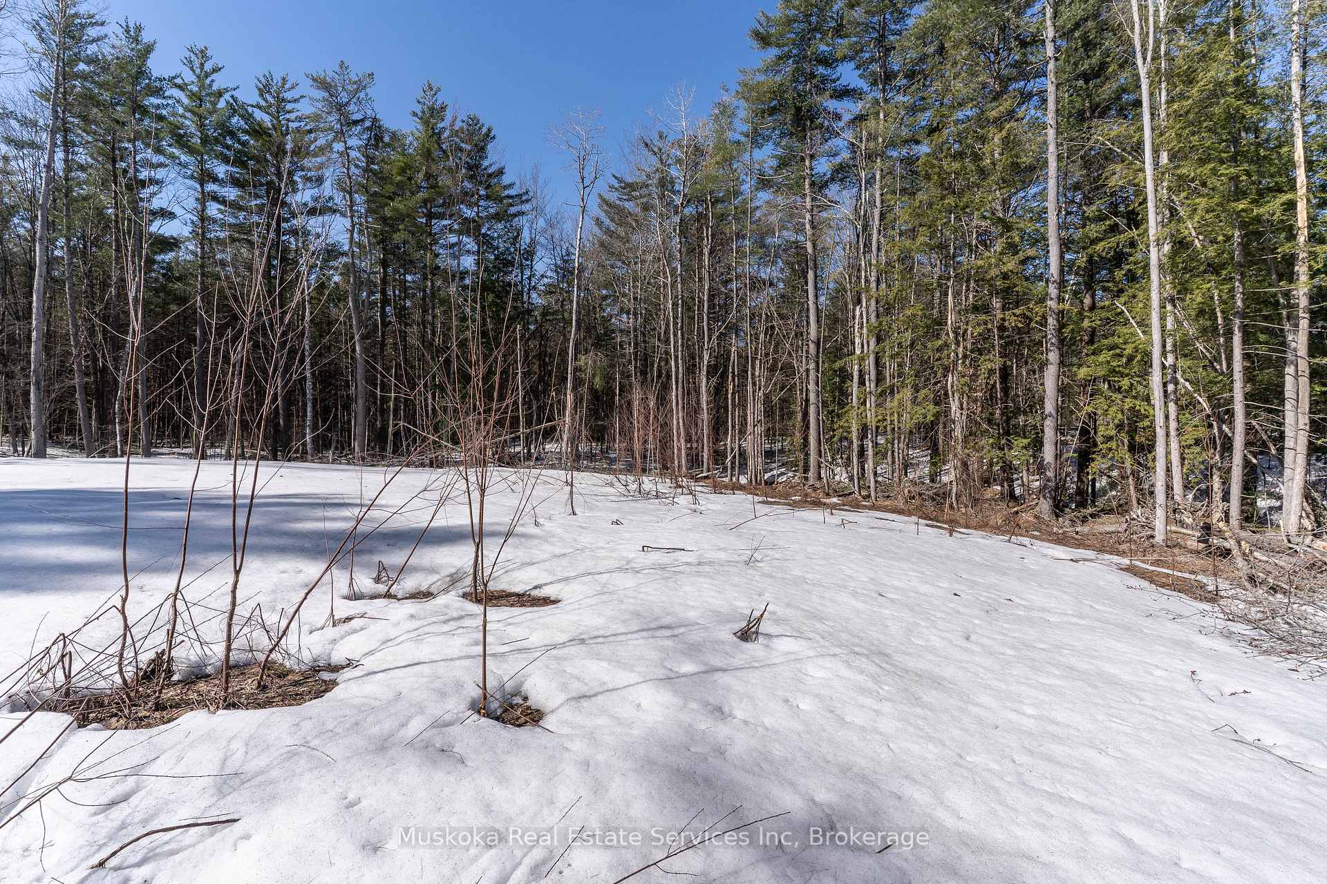 Photo 9 of 1023 Sparrow Lake Route, Gravenhurst, Morrison — HOMEH