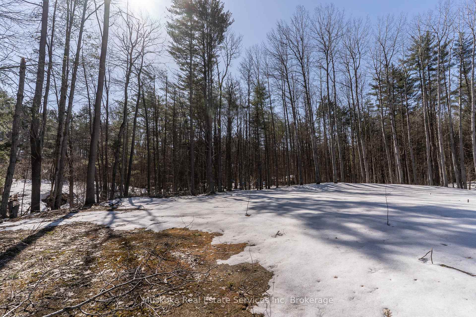 Photo 10 of 1023 Sparrow Lake Route, Gravenhurst, Morrison — HOMEH