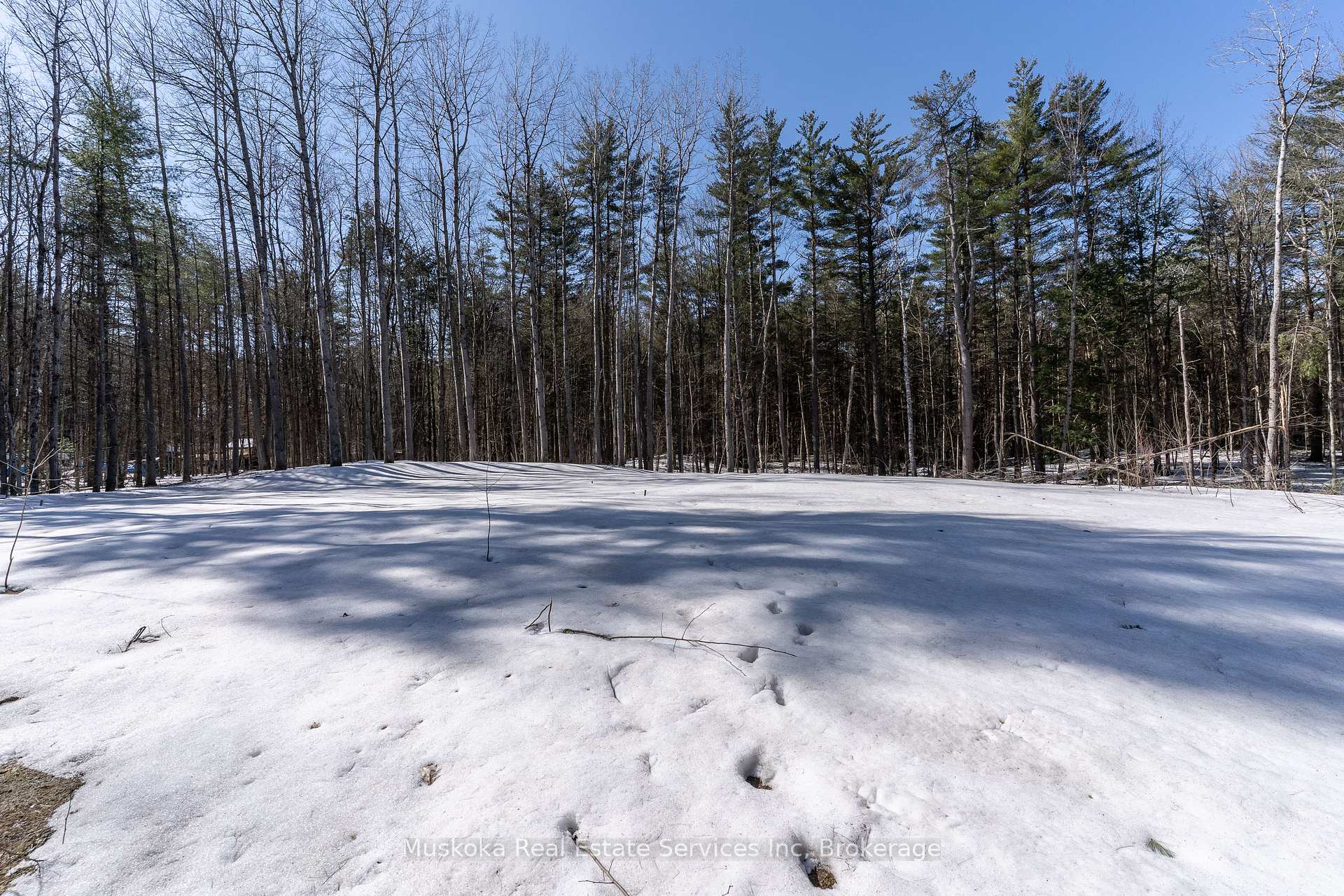 Photo 11 of 1023 Sparrow Lake Route, Gravenhurst, Morrison — HOMEH