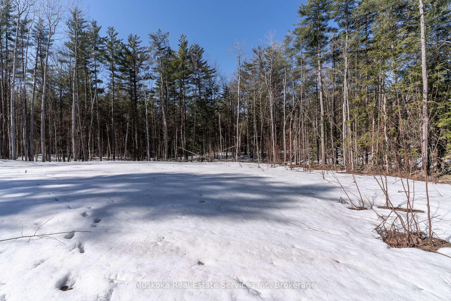 Photo 12 of 1023 Sparrow Lake Route, Gravenhurst, Morrison — HOMEH