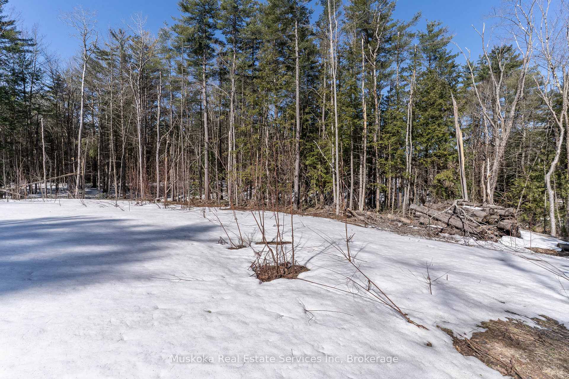 Photo 13 of 1023 Sparrow Lake Route, Gravenhurst, Morrison — HOMEH