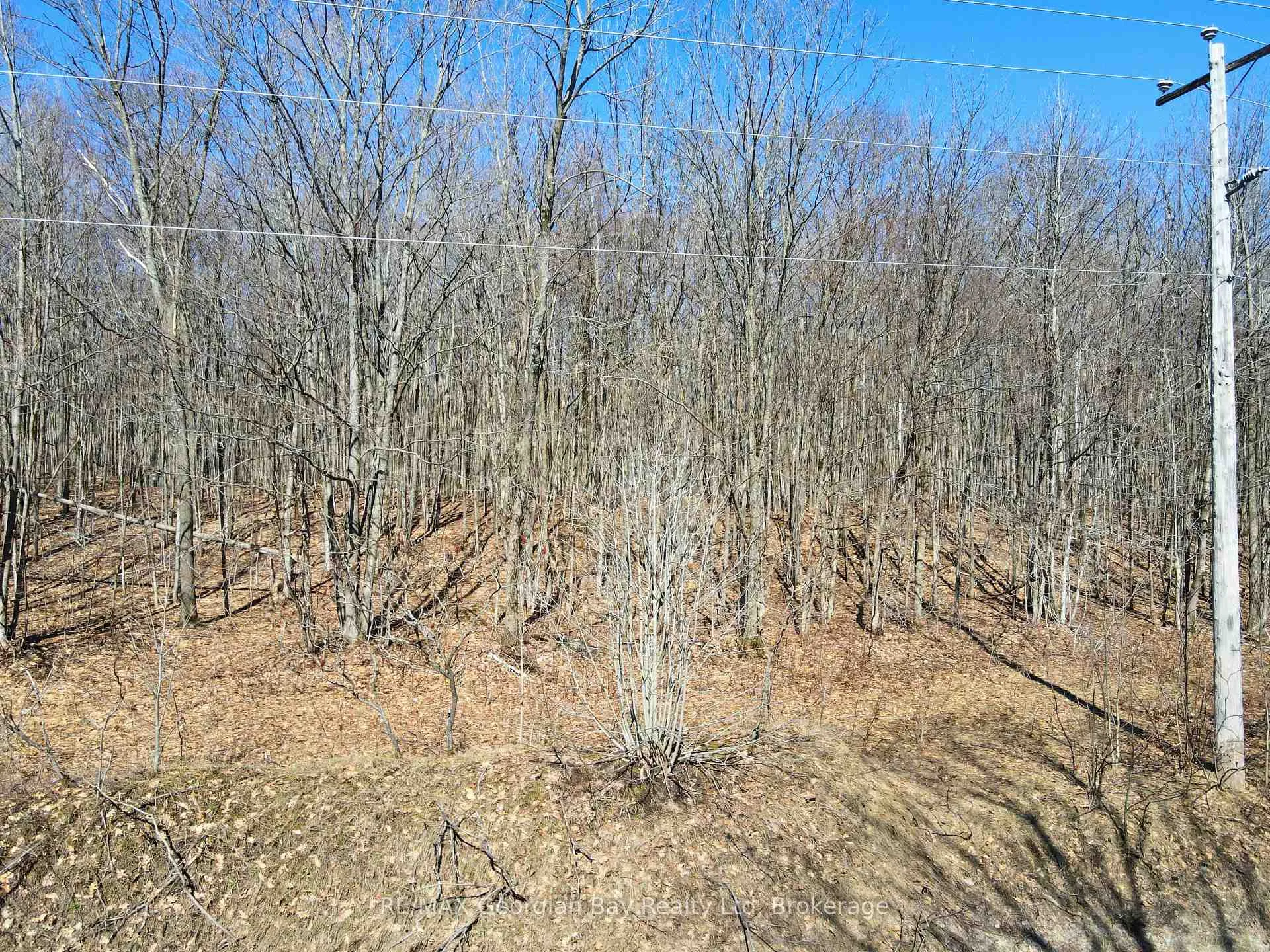 Photo 1 of Lot 33 Macavalley Road, Tiny, Rural Tiny — HOMEH
