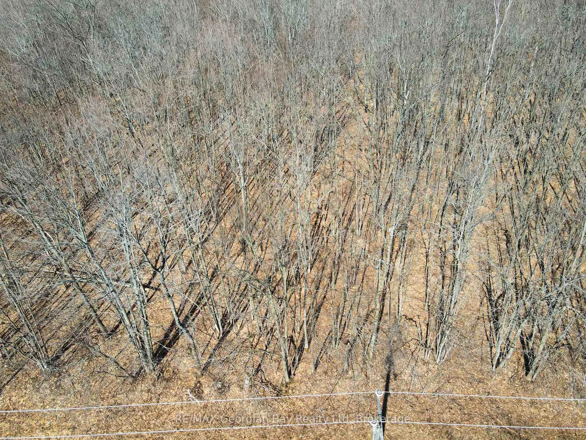 Photo 2 of Lot 33 Macavalley Road, Tiny, Rural Tiny — HOMEH
