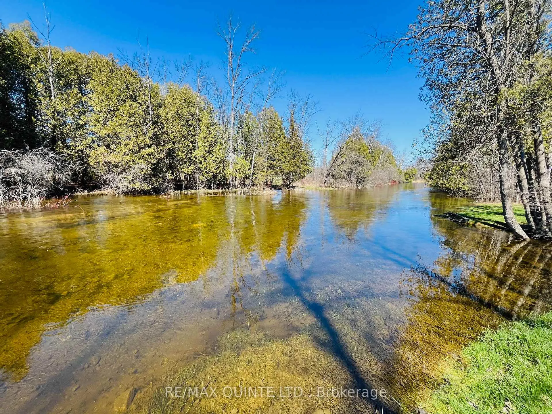 Photo 38 of 847 Thrasher Road, Belleville, Thurlow Ward — HOMEH