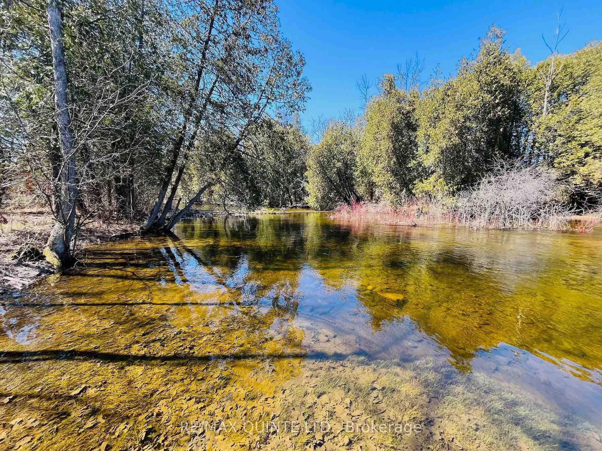 Photo 39 of 847 Thrasher Road, Belleville, Thurlow Ward — HOMEH