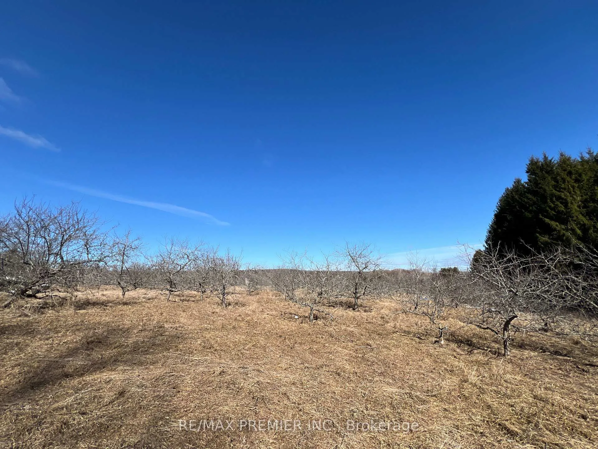 Photo 27 of 273 Peters Road, Cramahe, Rural Cramahe — HOMEH
