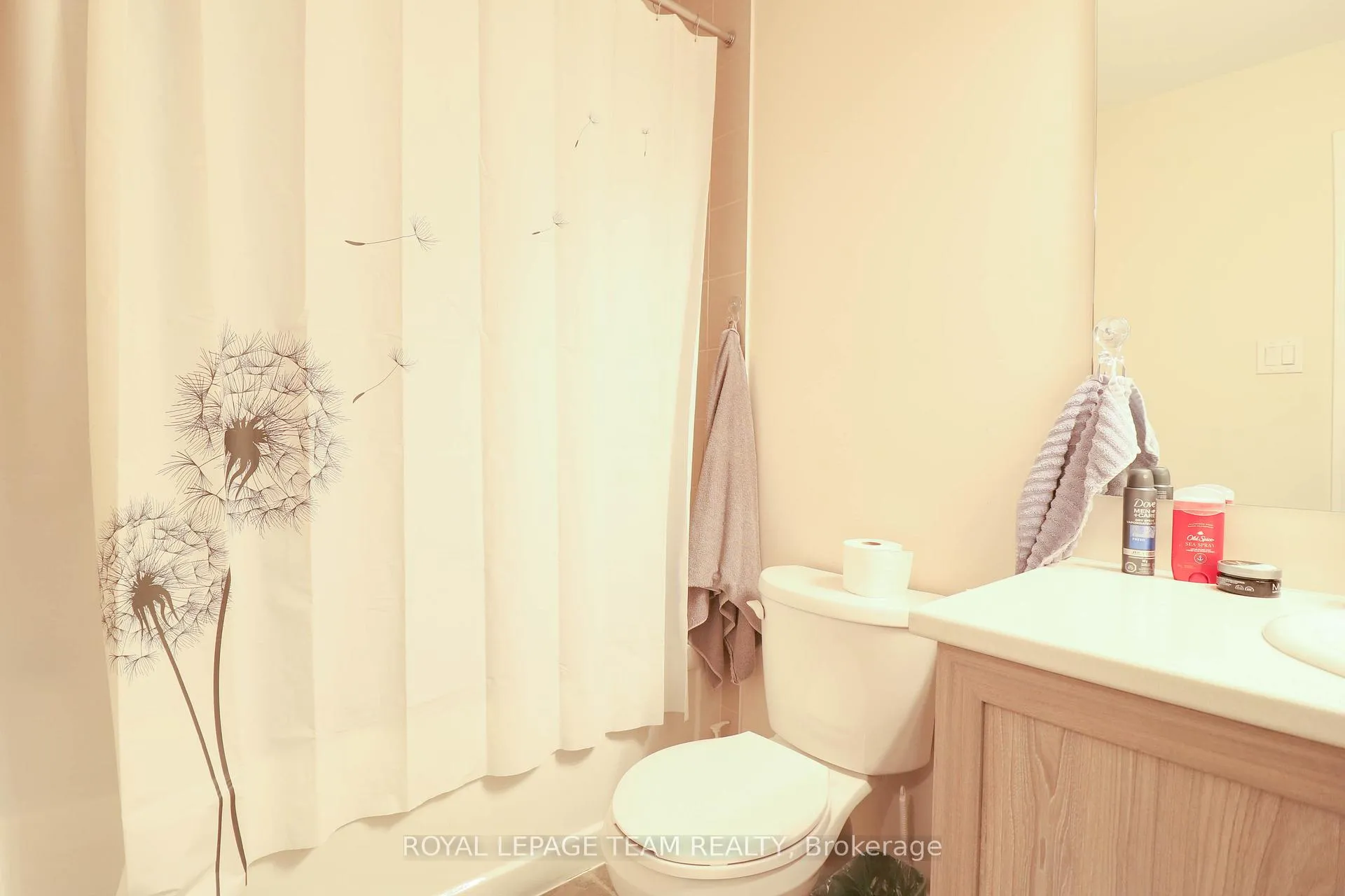 Photo 14 of 514 Radiant Private, Ottawa, Kanata - Emerald Meadows/Trailwest — HOMEH