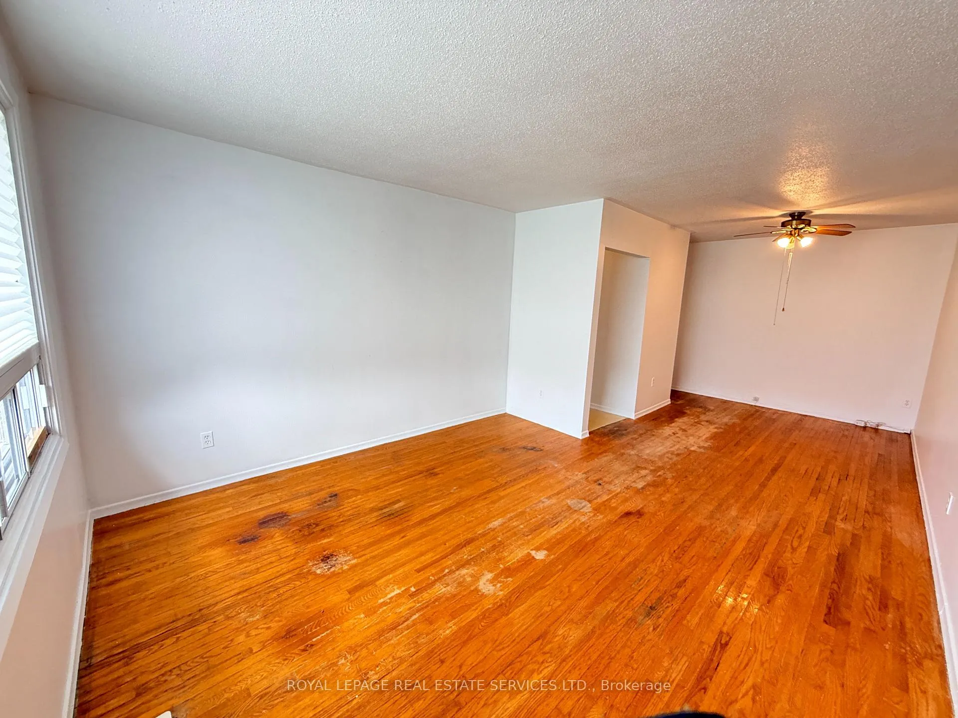 Photo 5 of 31 Daphne Crescent, Barrie, Cundles East — HOMEH
