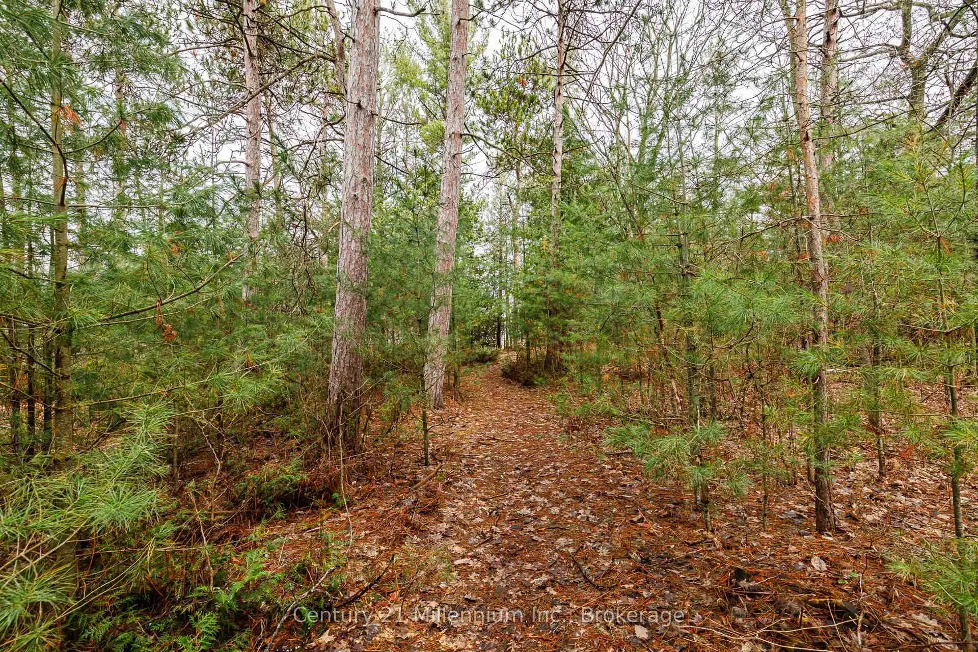 Photo 13 of 8 Poplar Street, Wasaga Beach — HOMEH