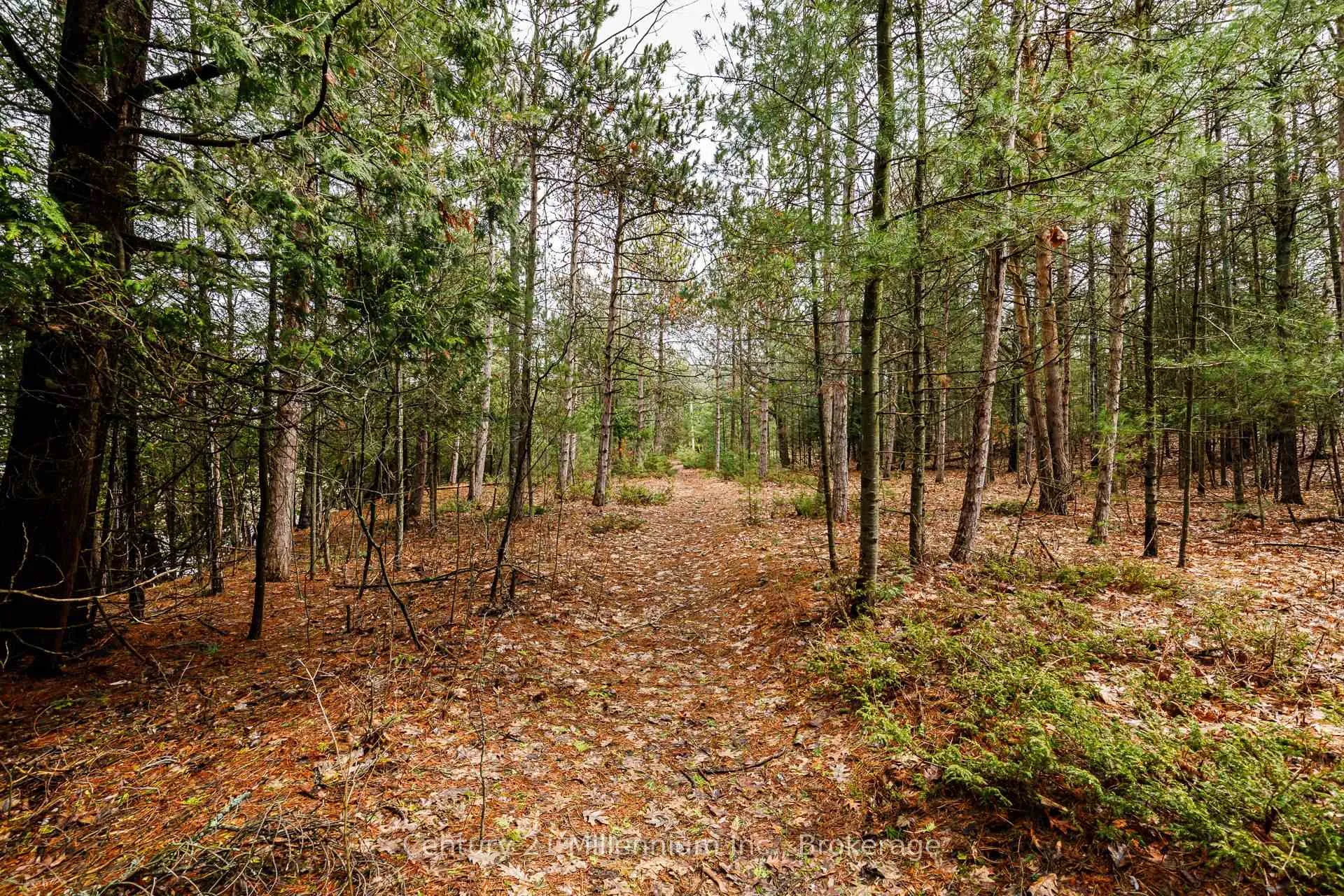 Photo 16 of 8 Poplar Street, Wasaga Beach — HOMEH
