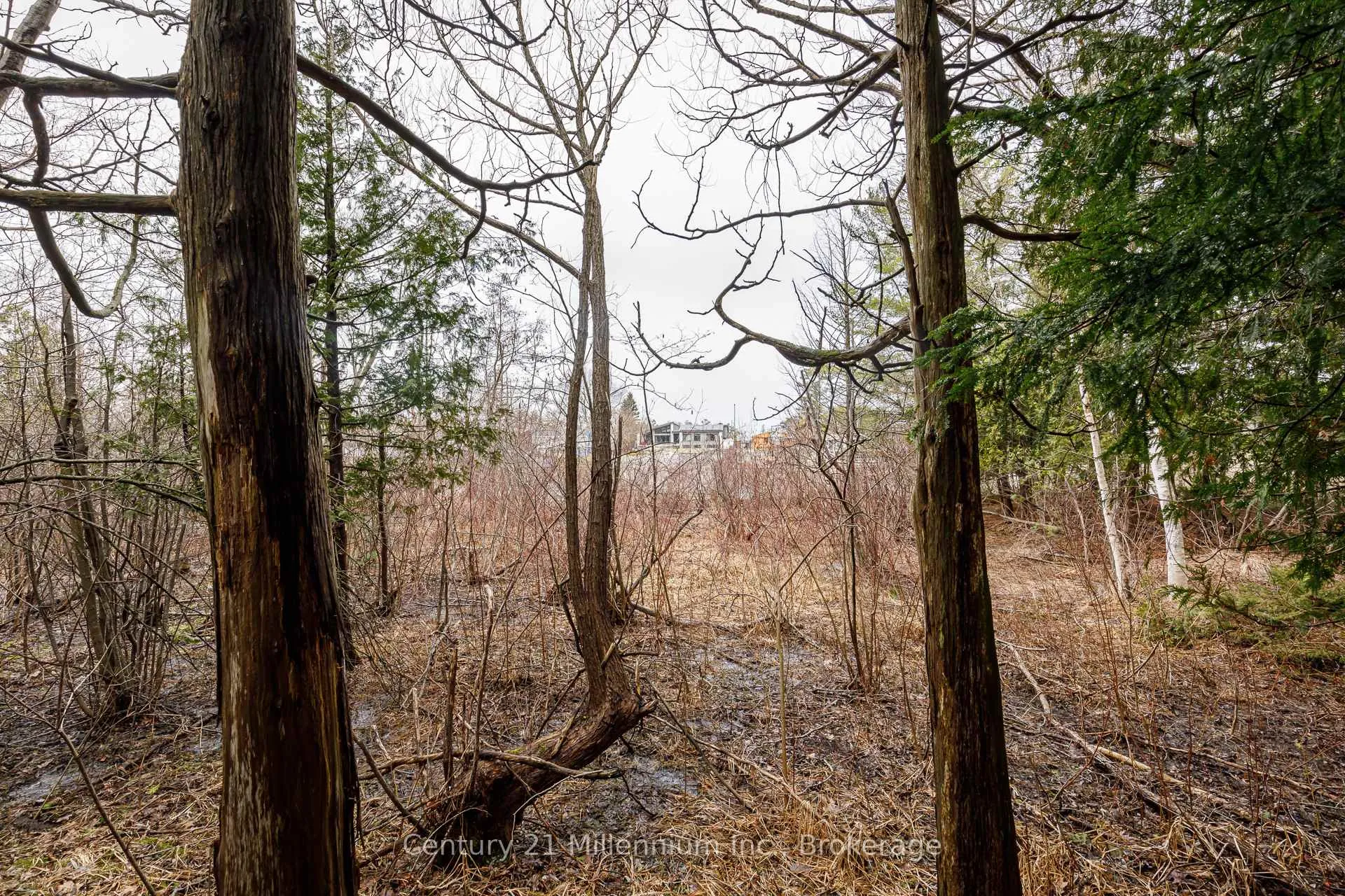 Photo 21 of 8 Poplar Street, Wasaga Beach — HOMEH