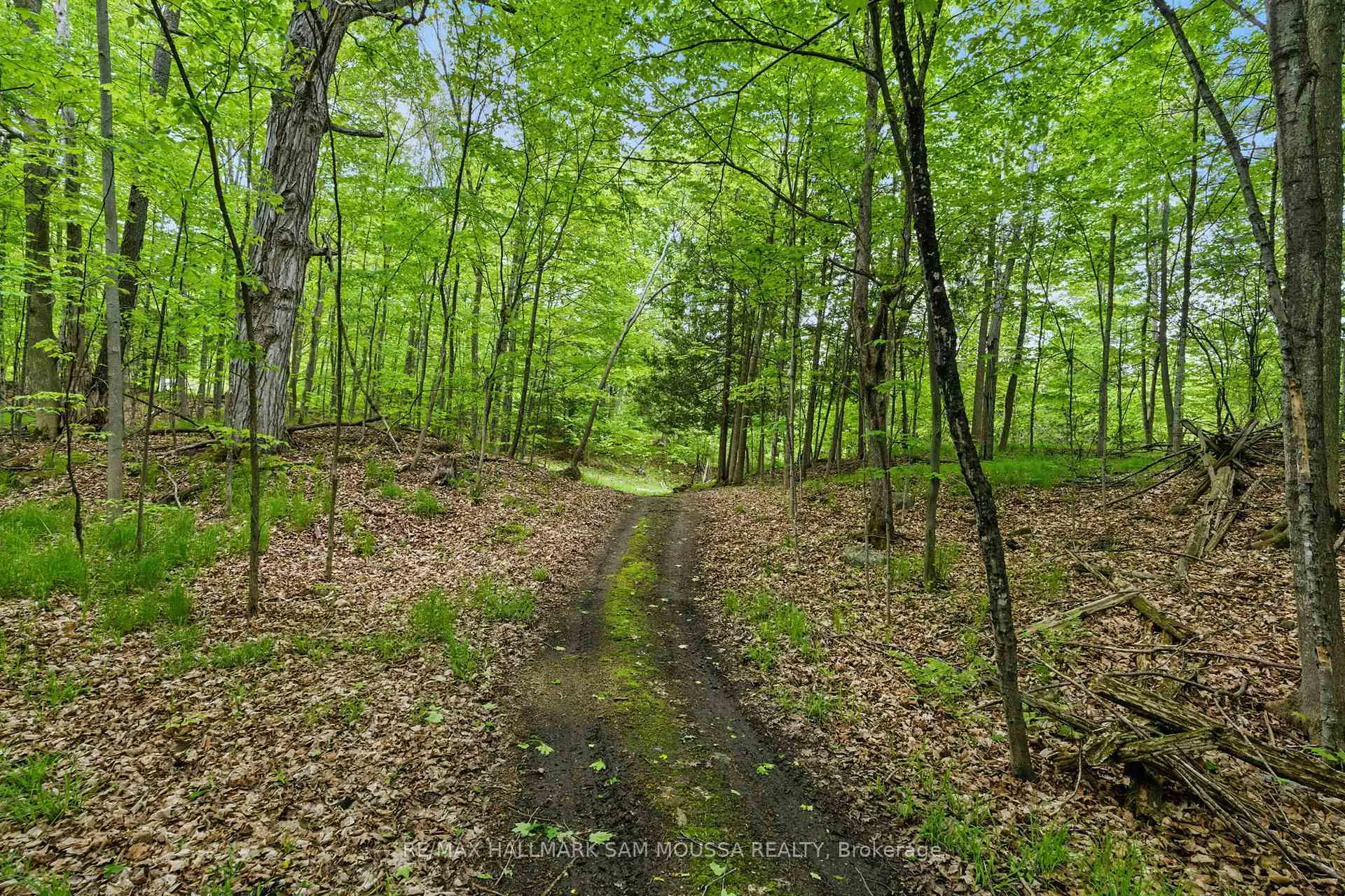 Photo 13 of 525 Miner's Point Drive, Tay Valley, Bathurst/Burgess & Sherbrooke (North Burgess) Twp — HOMEH