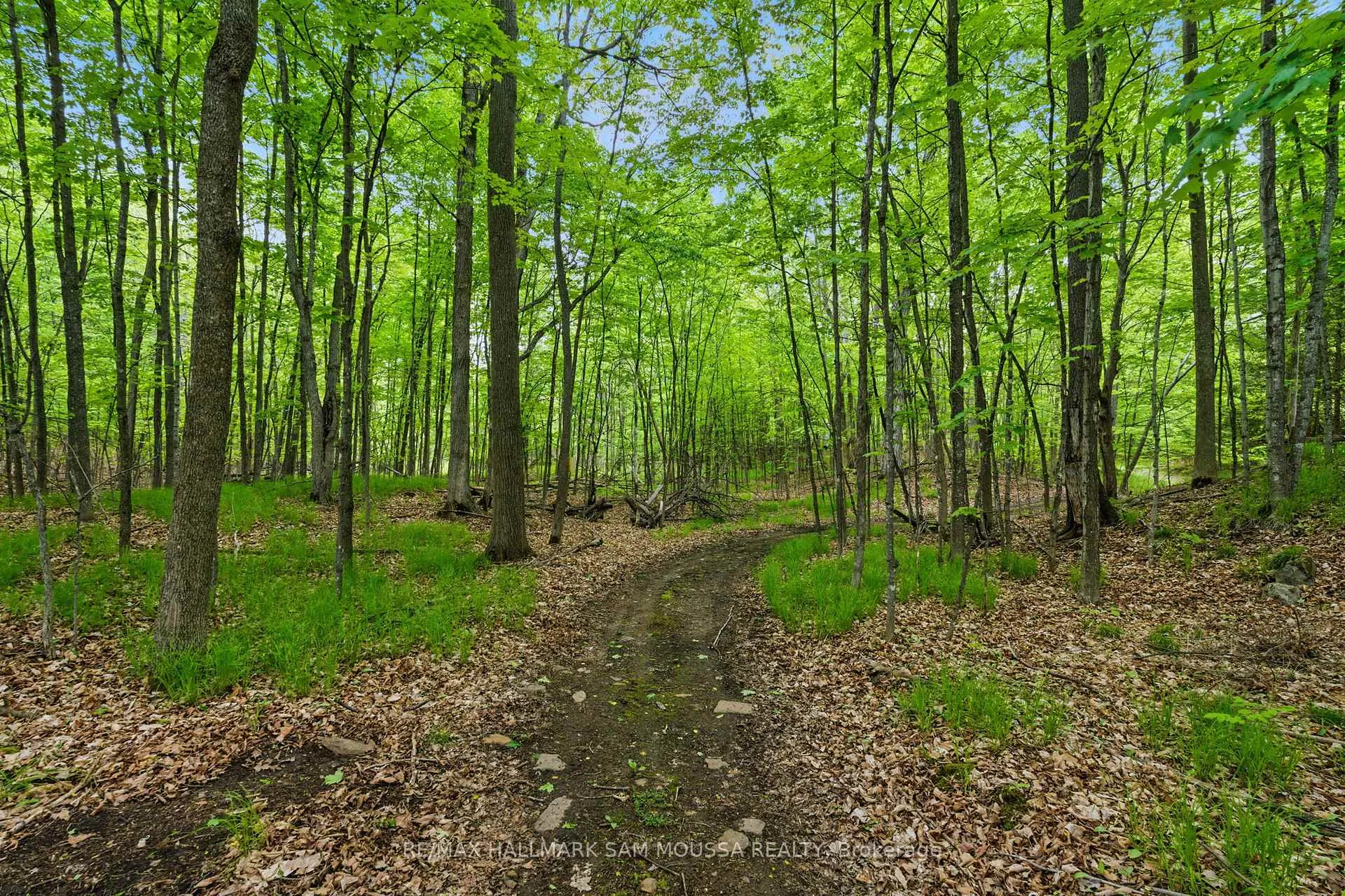 Photo 14 of 525 Miner's Point Drive, Tay Valley, Bathurst/Burgess & Sherbrooke (North Burgess) Twp — HOMEH