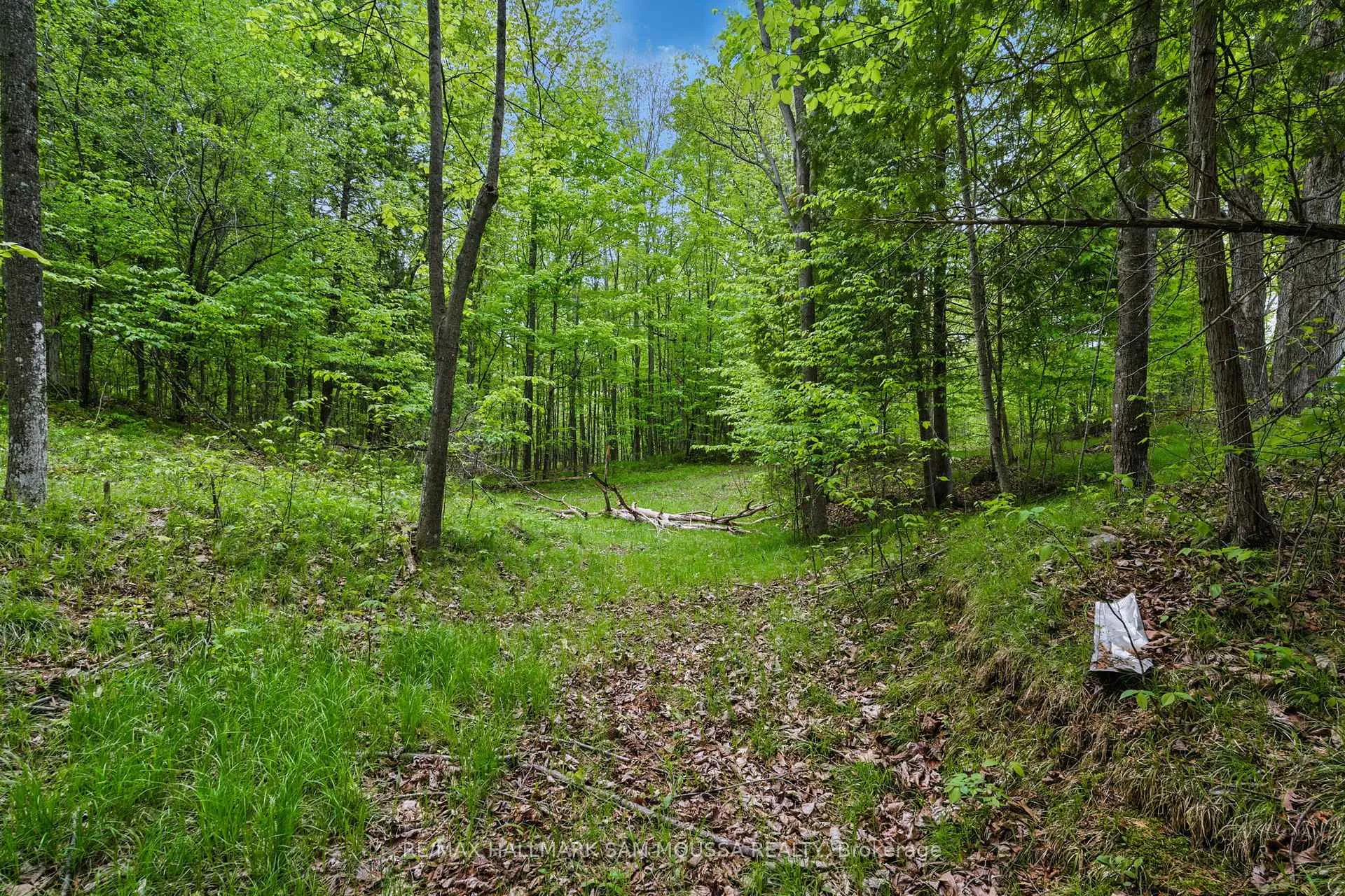 Photo 15 of 525 Miner's Point Drive, Tay Valley, Bathurst/Burgess & Sherbrooke (North Burgess) Twp — HOMEH