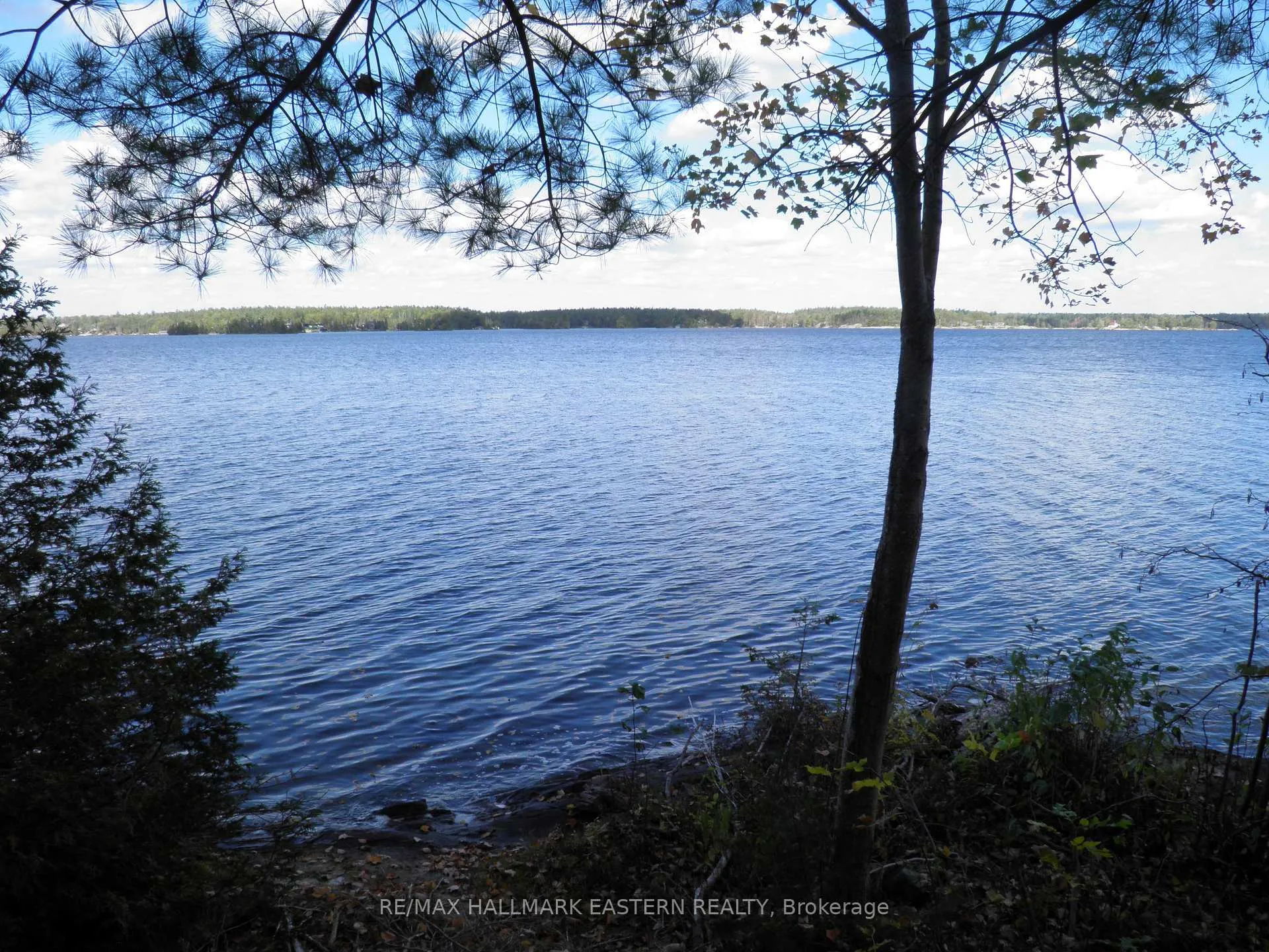 Photo of 1420 Island 76