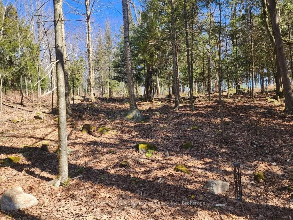 Photo 39 of 52 Ouellette Road, East Ferris — HOMEH