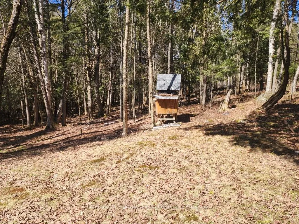 Photo 40 of 52 Ouellette Road, East Ferris — HOMEH