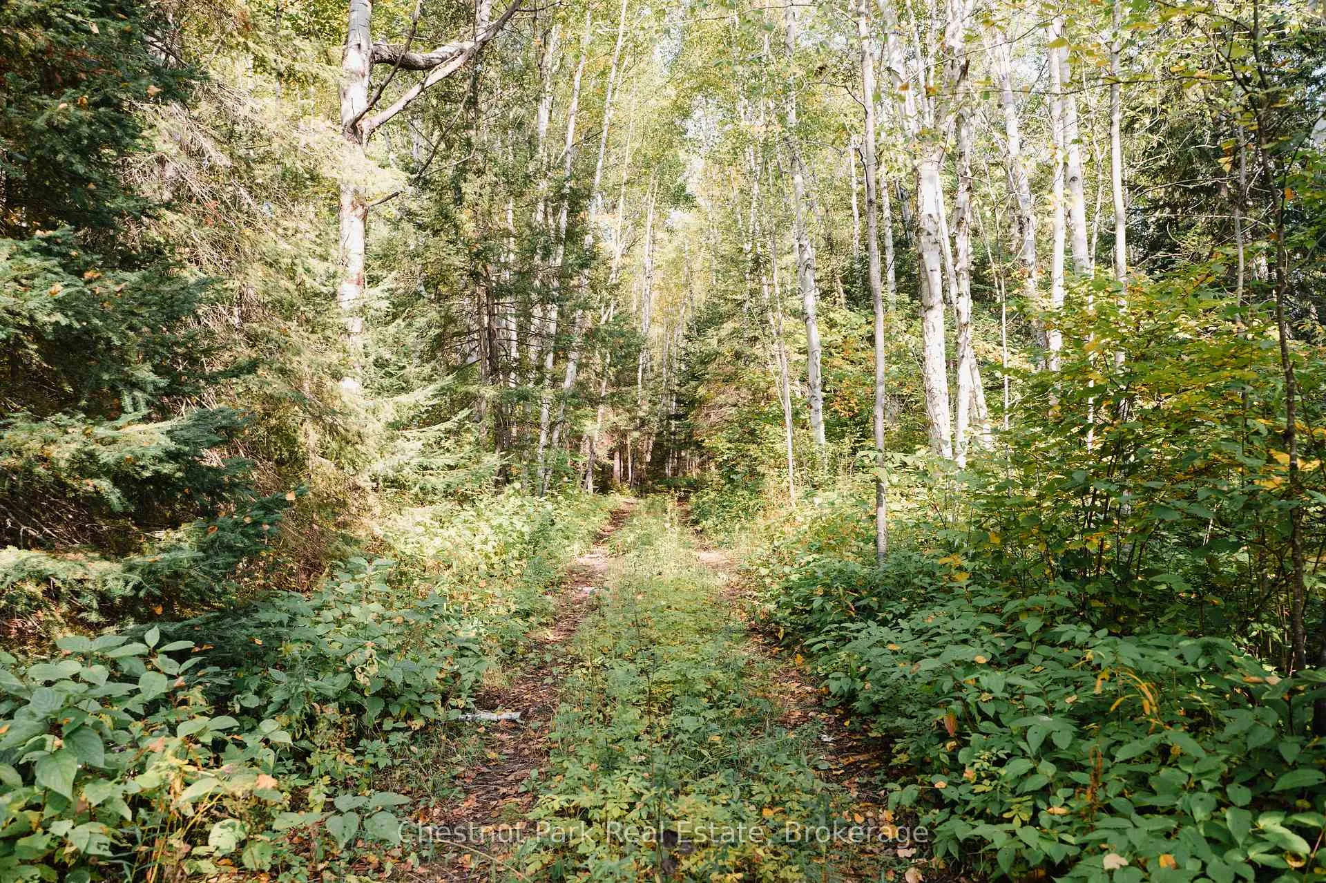 Photo 3 of 445 Fox Run, Temagami — HOMEH