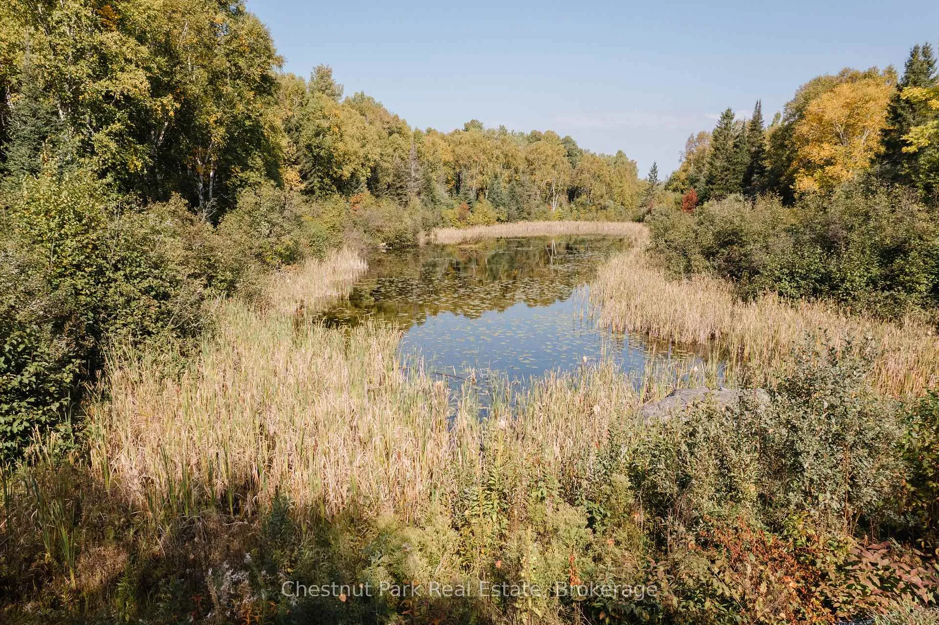 Photo 4 of 445 Fox Run, Temagami — HOMEH