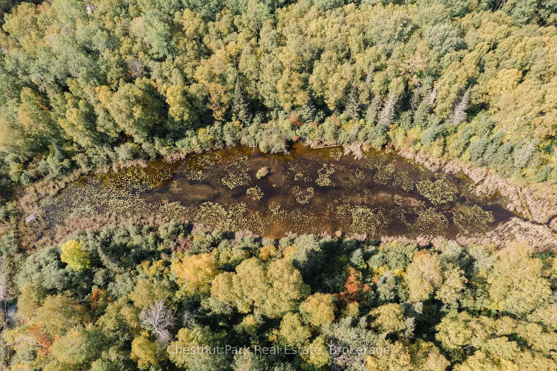 Photo 6 of 445 Fox Run, Temagami — HOMEH