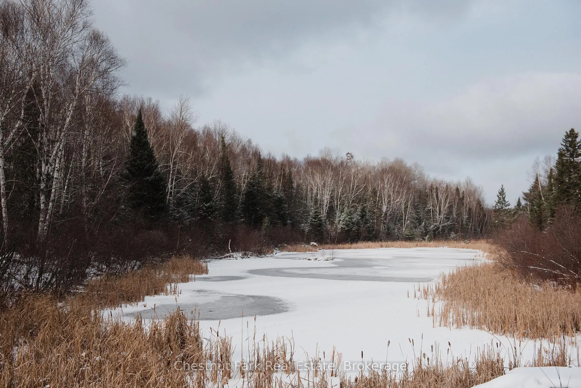 Photo 9 of 445 Fox Run, Temagami — HOMEH