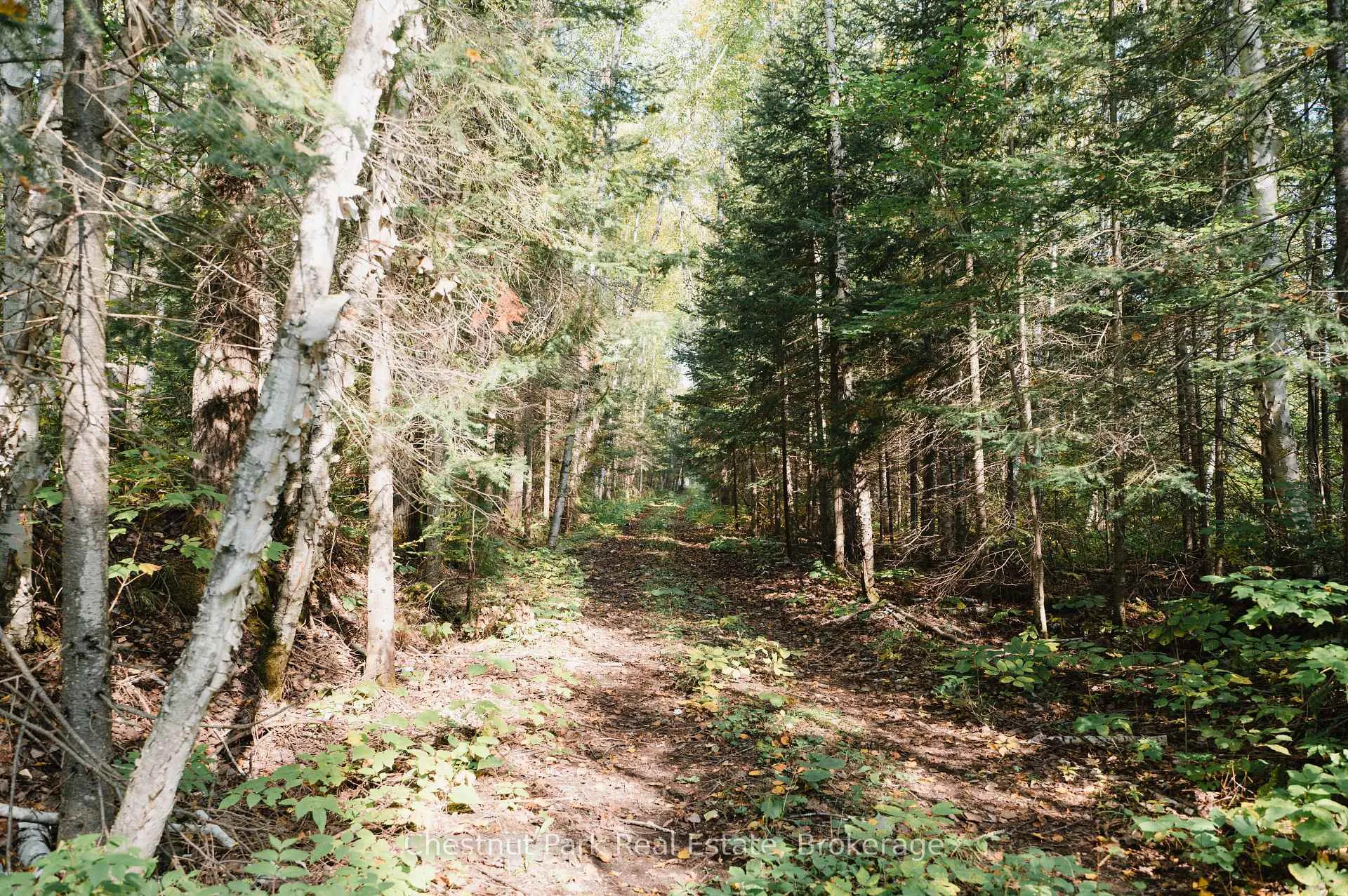 Photo 11 of 445 Fox Run, Temagami — HOMEH