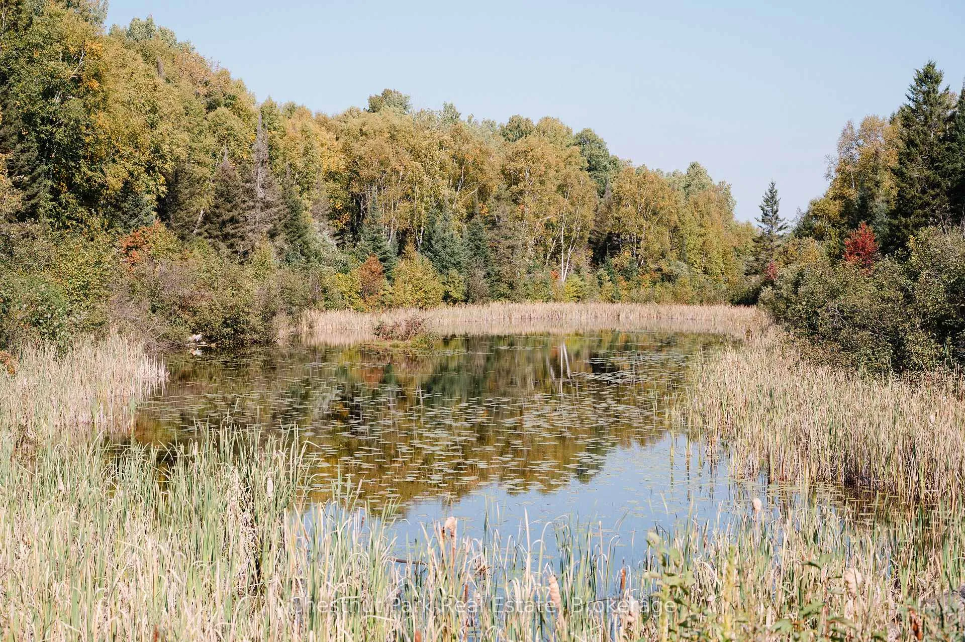 Photo 12 of 445 Fox Run, Temagami — HOMEH