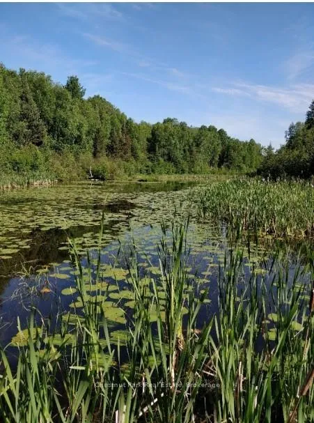 Photo 18 of 445 Fox Run, Temagami — HOMEH