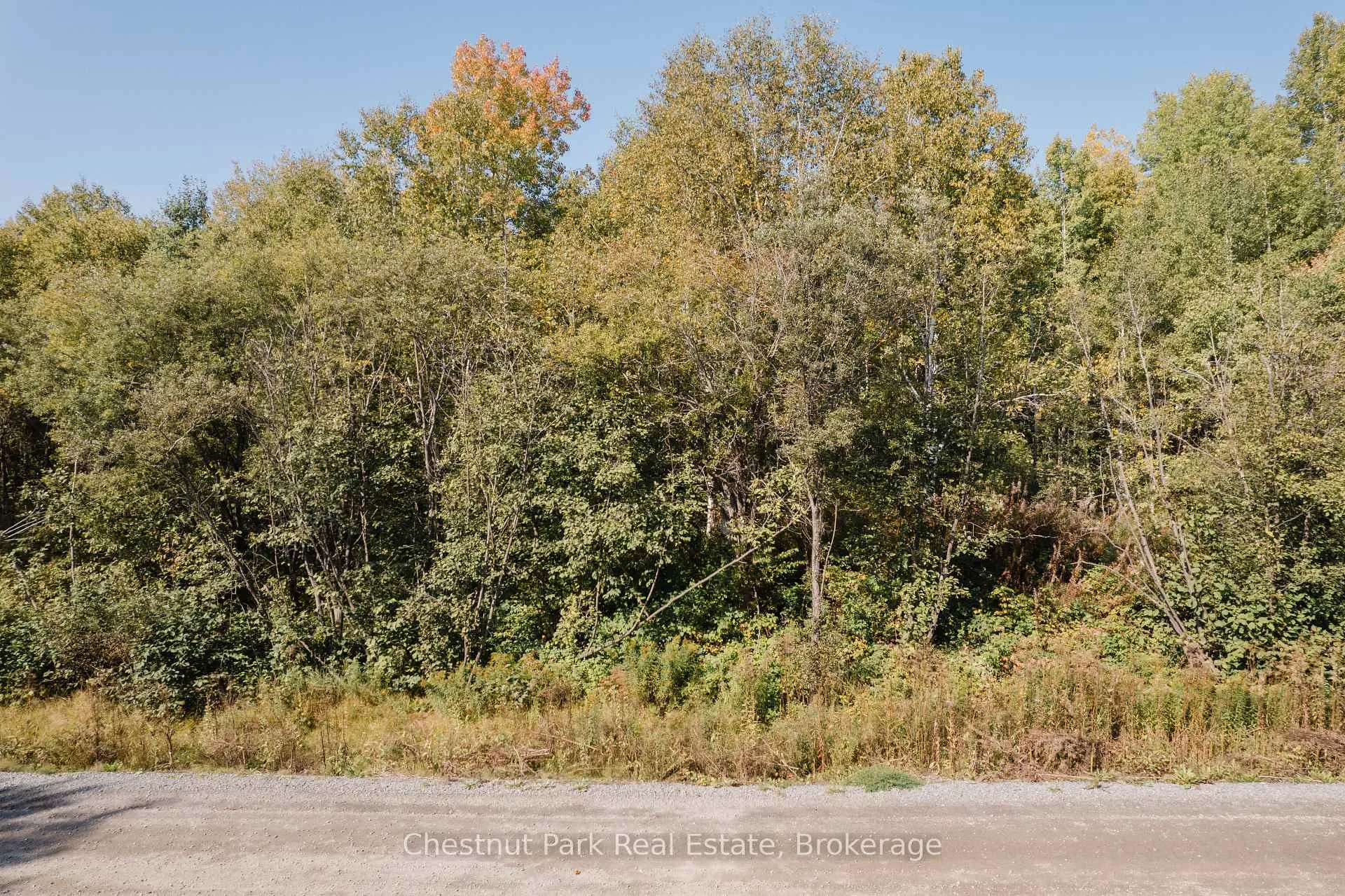 Photo 12 of 38 White Bear Court, Temagami — HOMEH