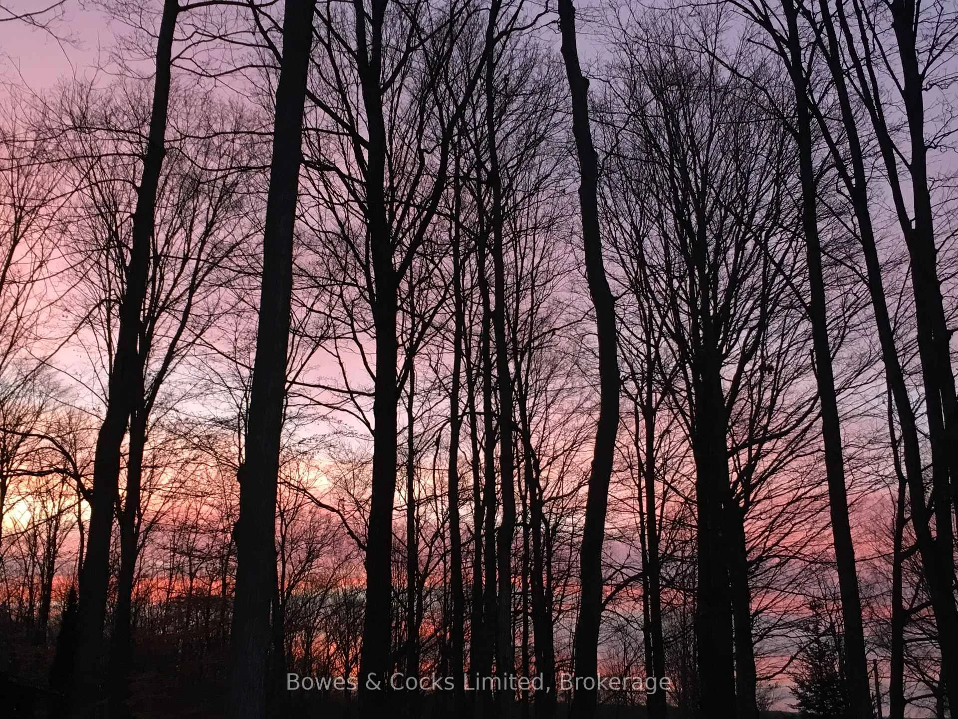 Photo 34 of 1011 Stewart Line, Cavan Monaghan, Cavan Twp — HOMEH