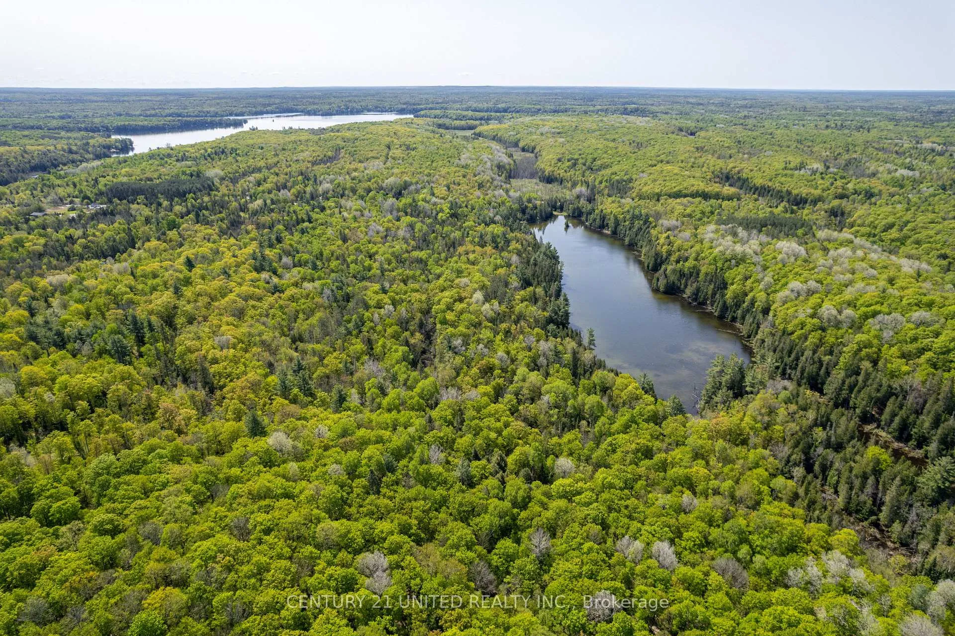 Photo 5 of Johnson Road, North Kawartha — HOMEH
