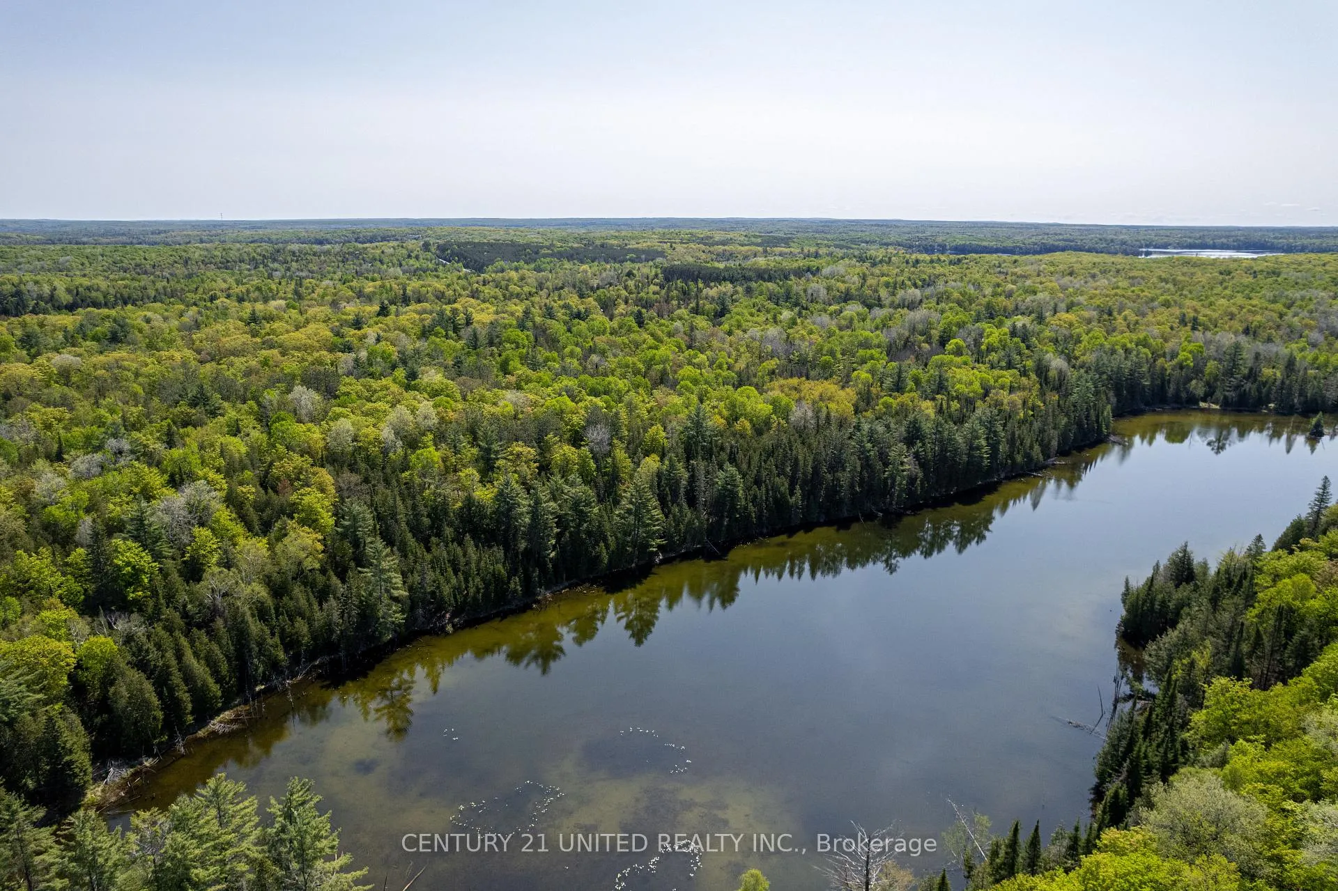 Photo 8 of Johnson Road, North Kawartha — HOMEH