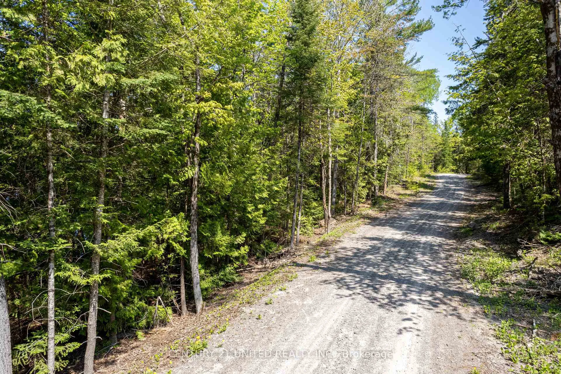 Photo 14 of Johnson Road, North Kawartha — HOMEH