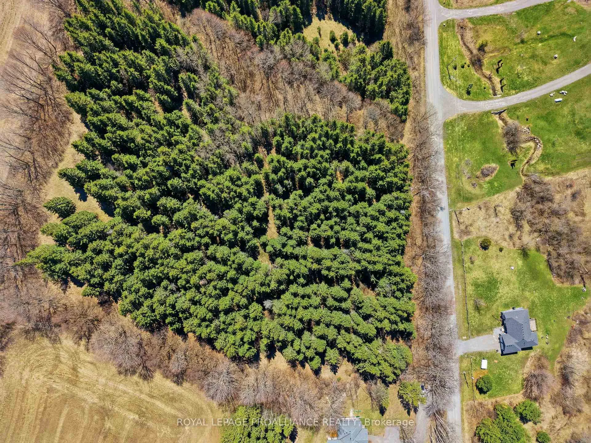 Photo 9 of Part 2 Payn Road, Hamilton Township, Rural Hamilton — HOMEH