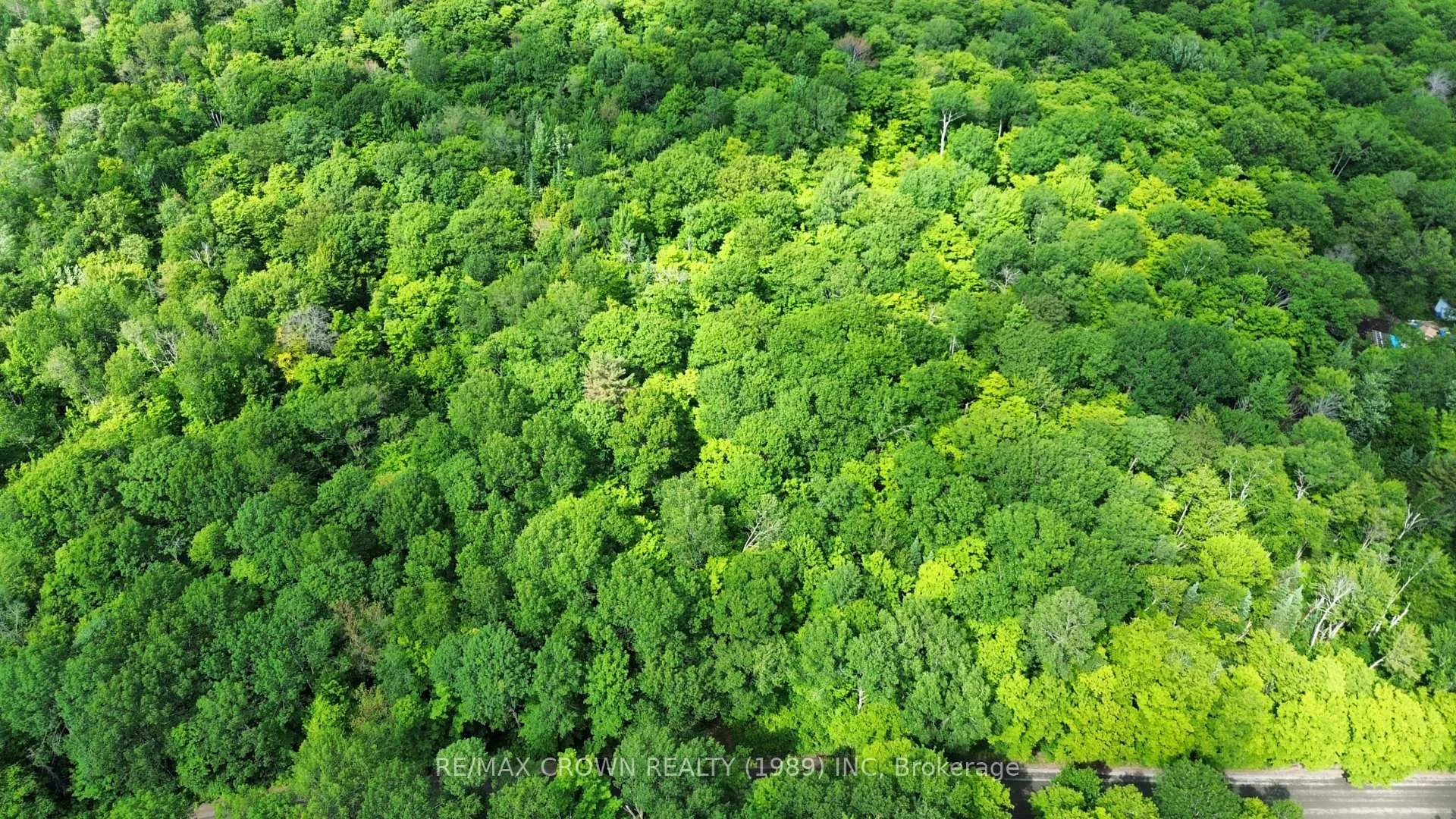 Photo 3 of Part 2 3097 Fern Glen Road, McMurrich/Monteith, McMurrich — HOMEH