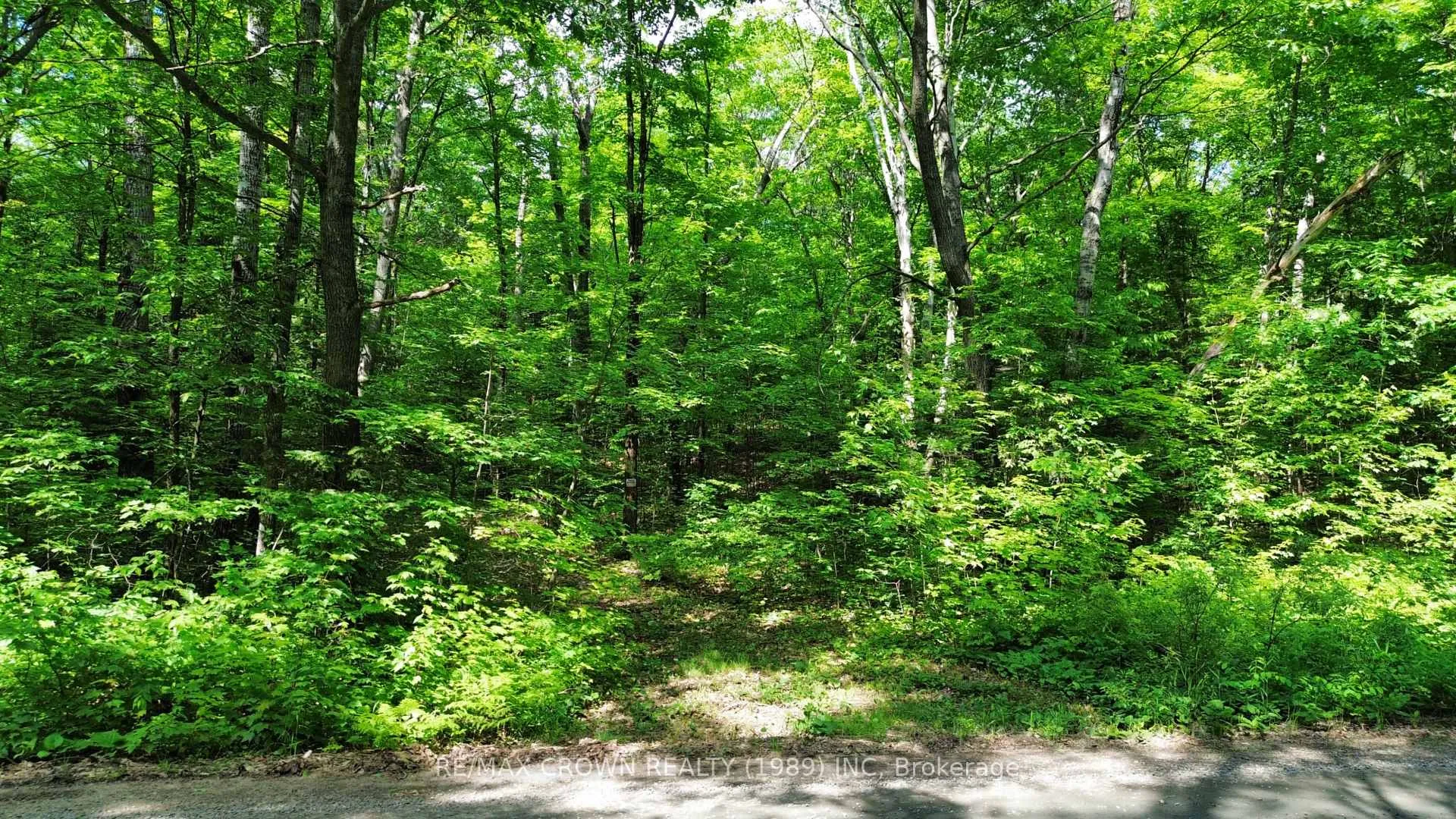 Photo 10 of Part 2 3097 Fern Glen Road, McMurrich/Monteith, McMurrich — HOMEH