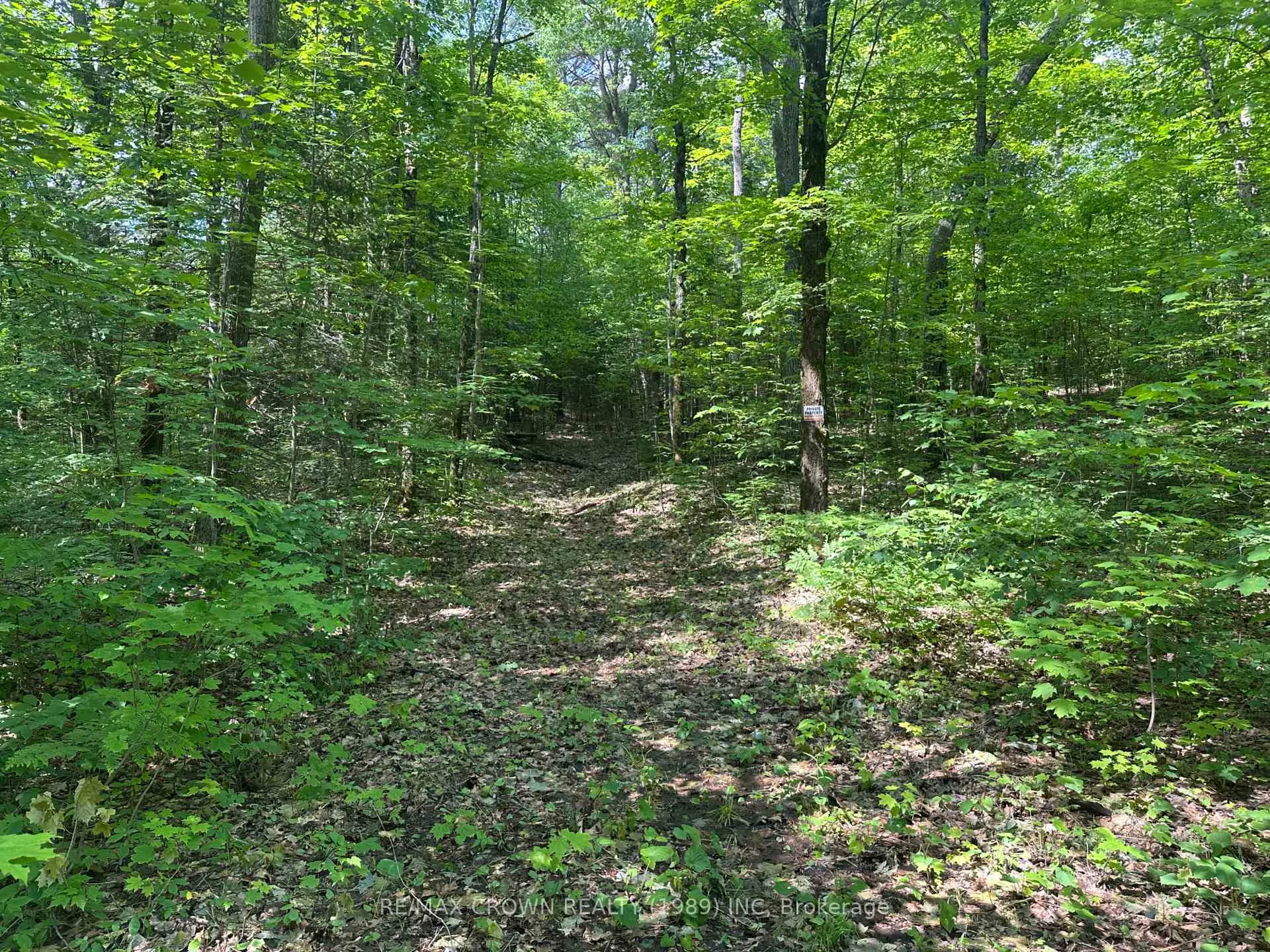 Photo 11 of Part 2 3097 Fern Glen Road, McMurrich/Monteith, McMurrich — HOMEH