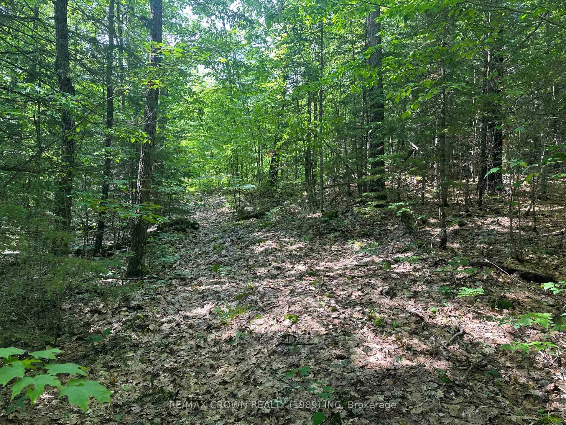 Photo 12 of Part 2 3097 Fern Glen Road, McMurrich/Monteith, McMurrich — HOMEH