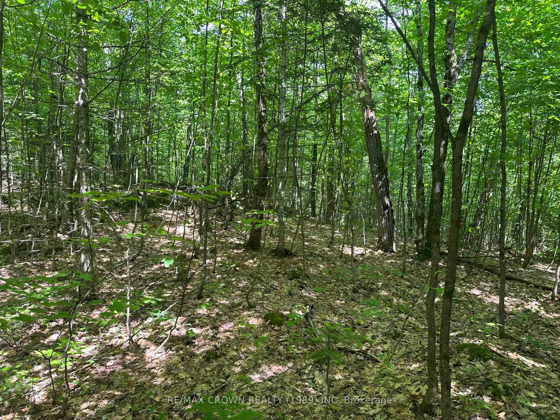 Photo 13 of Part 2 3097 Fern Glen Road, McMurrich/Monteith, McMurrich — HOMEH