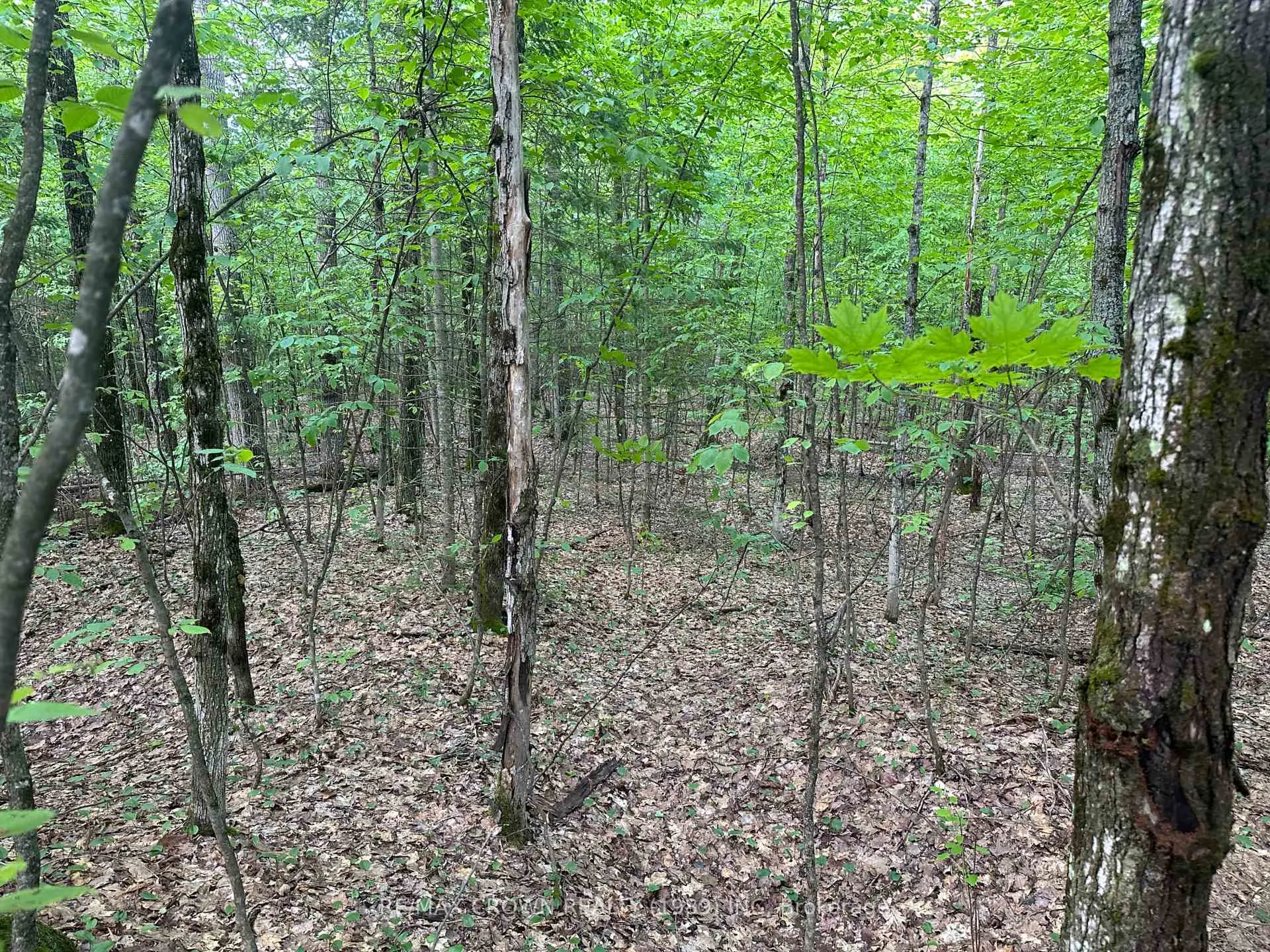 Photo 15 of Part 2 3097 Fern Glen Road, McMurrich/Monteith, McMurrich — HOMEH