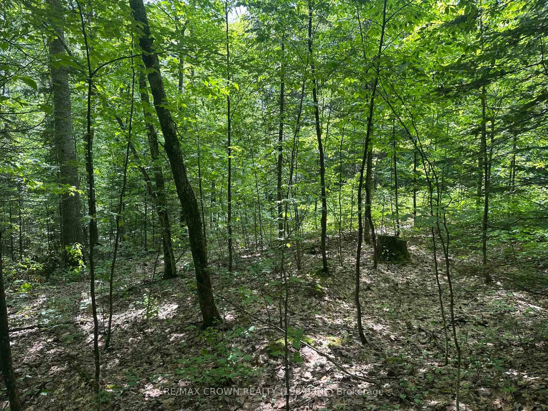 Photo 16 of Part 2 3097 Fern Glen Road, McMurrich/Monteith, McMurrich — HOMEH
