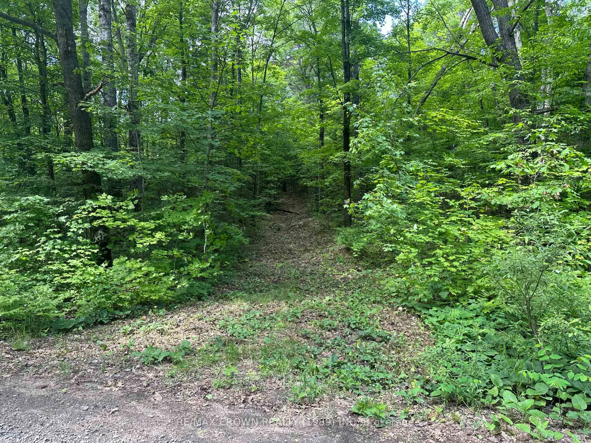 Photo 18 of Part 2 3097 Fern Glen Road, McMurrich/Monteith, McMurrich — HOMEH