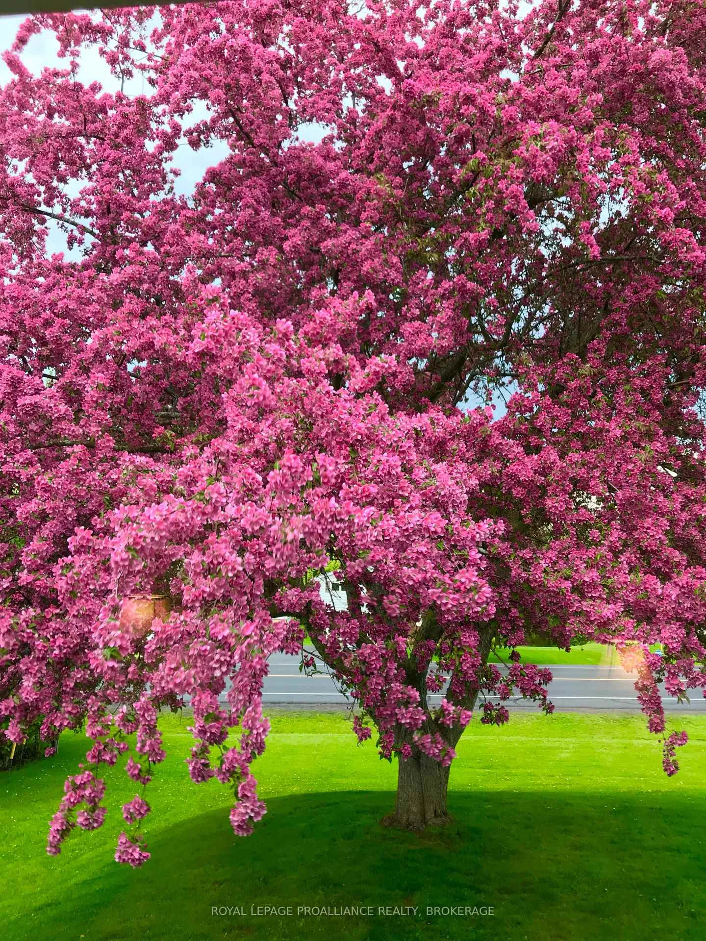 Photo 29 of 56 River Road, Greater Napanee — HOMEH